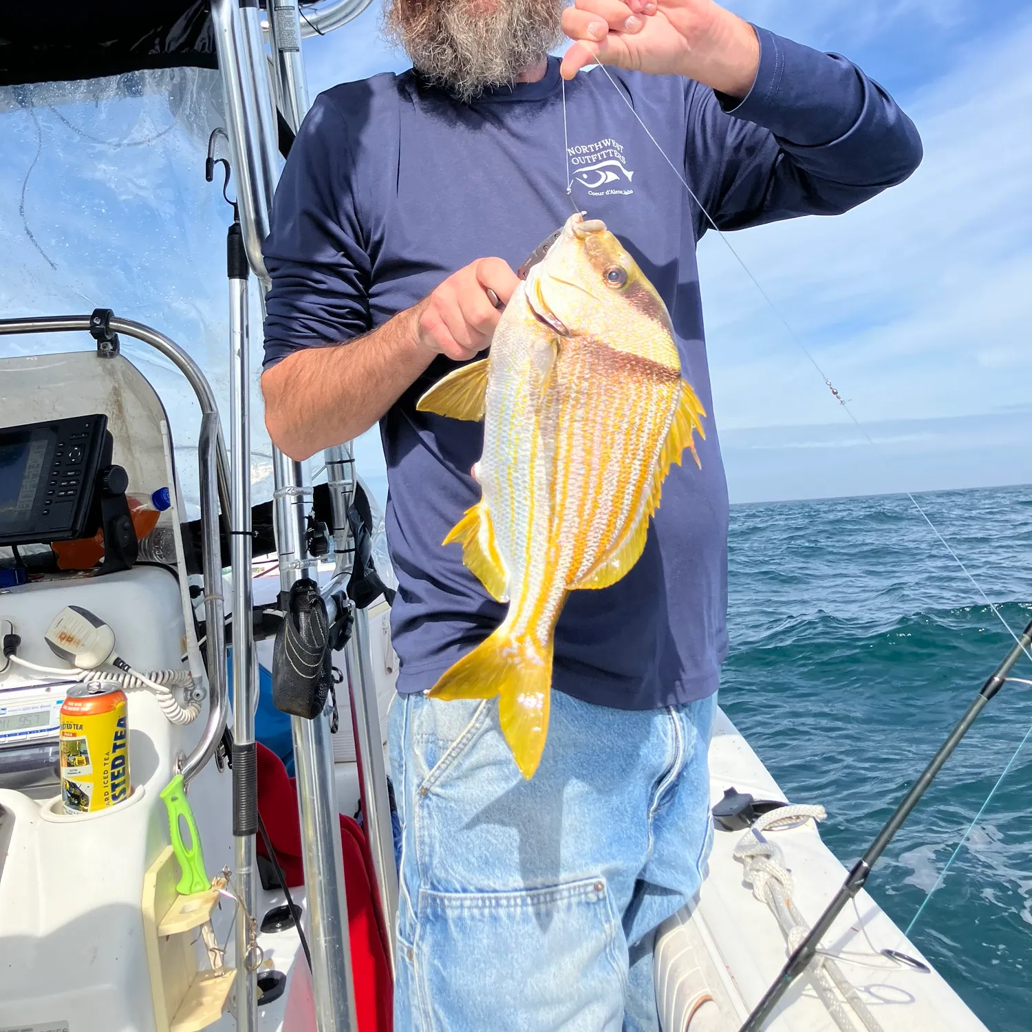 The most recent Atlantic porkfish catches on Fishbrain