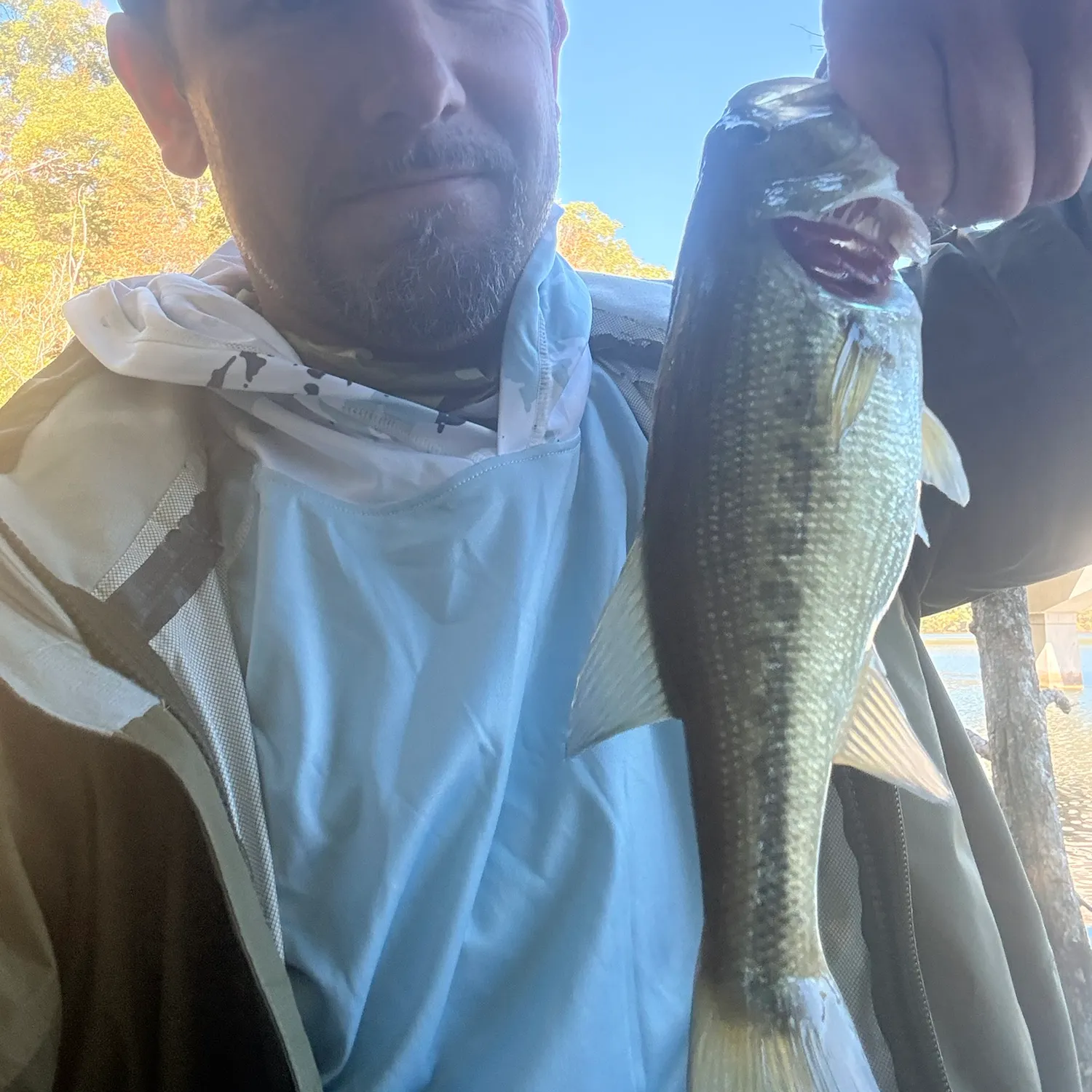 Smallmouth bass caught on Fishbrain