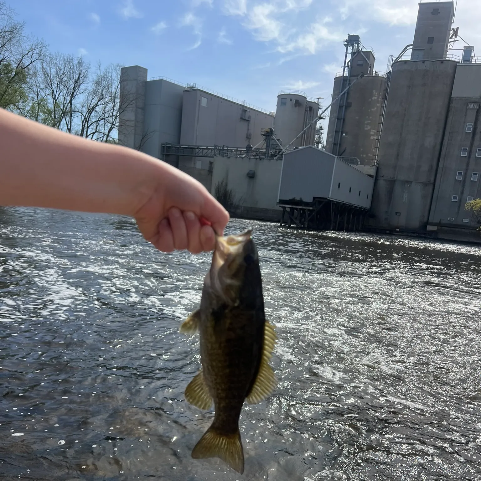 catch