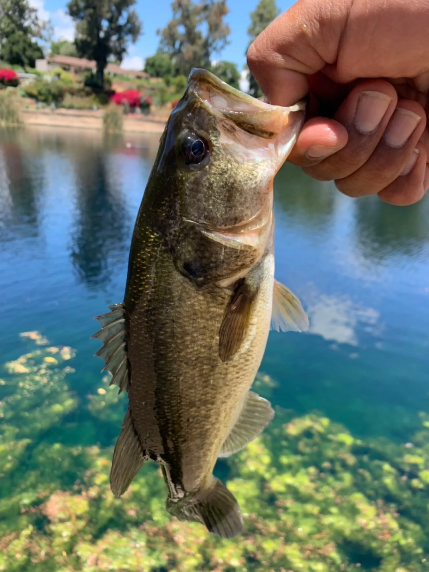 Post image from abelpajares