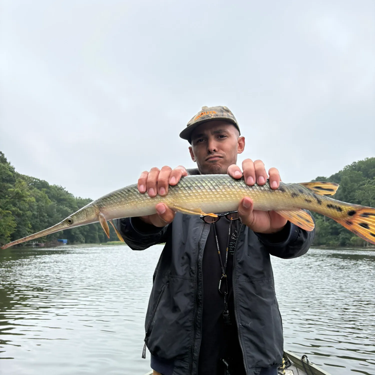Longnose gar caught on Fishbrain