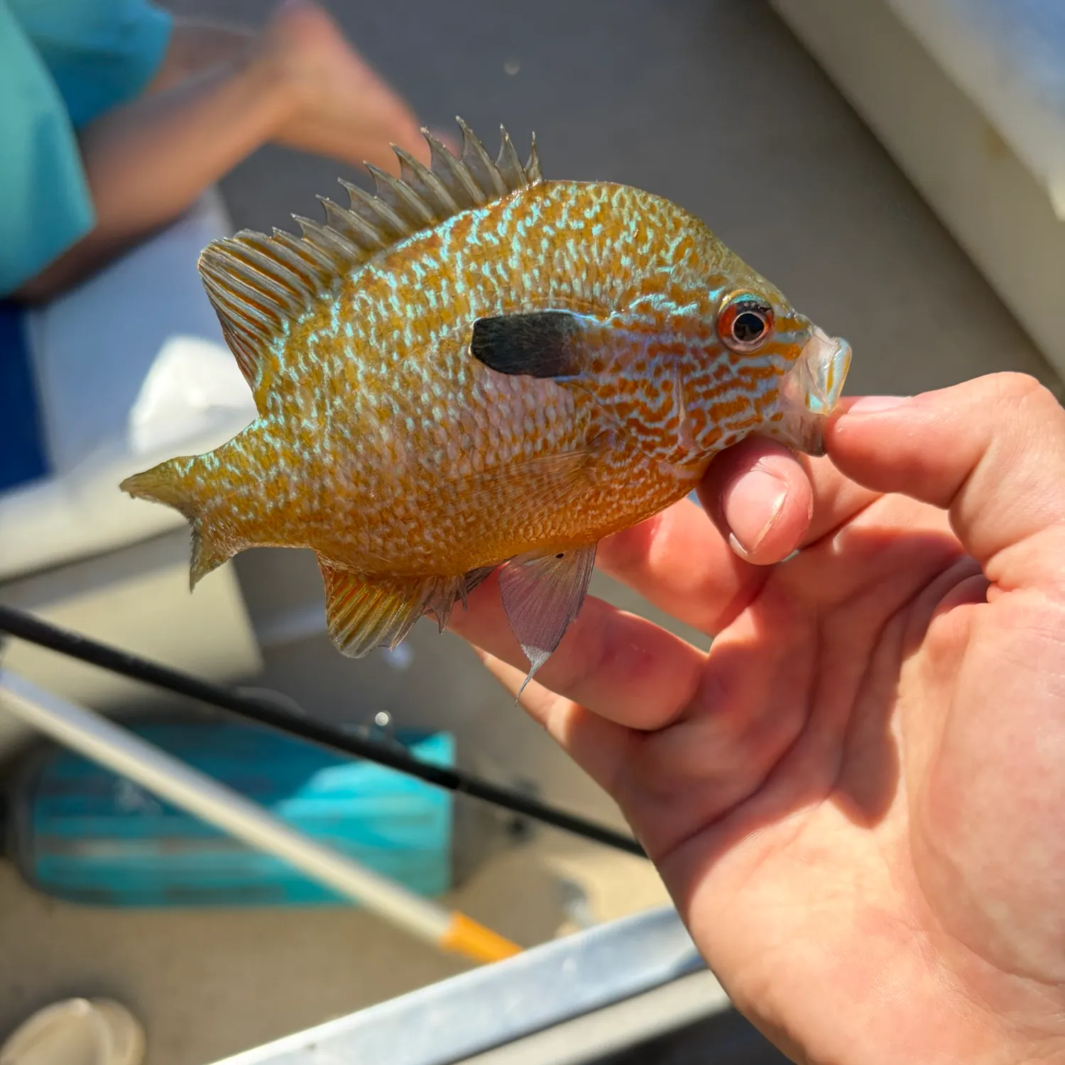 catch