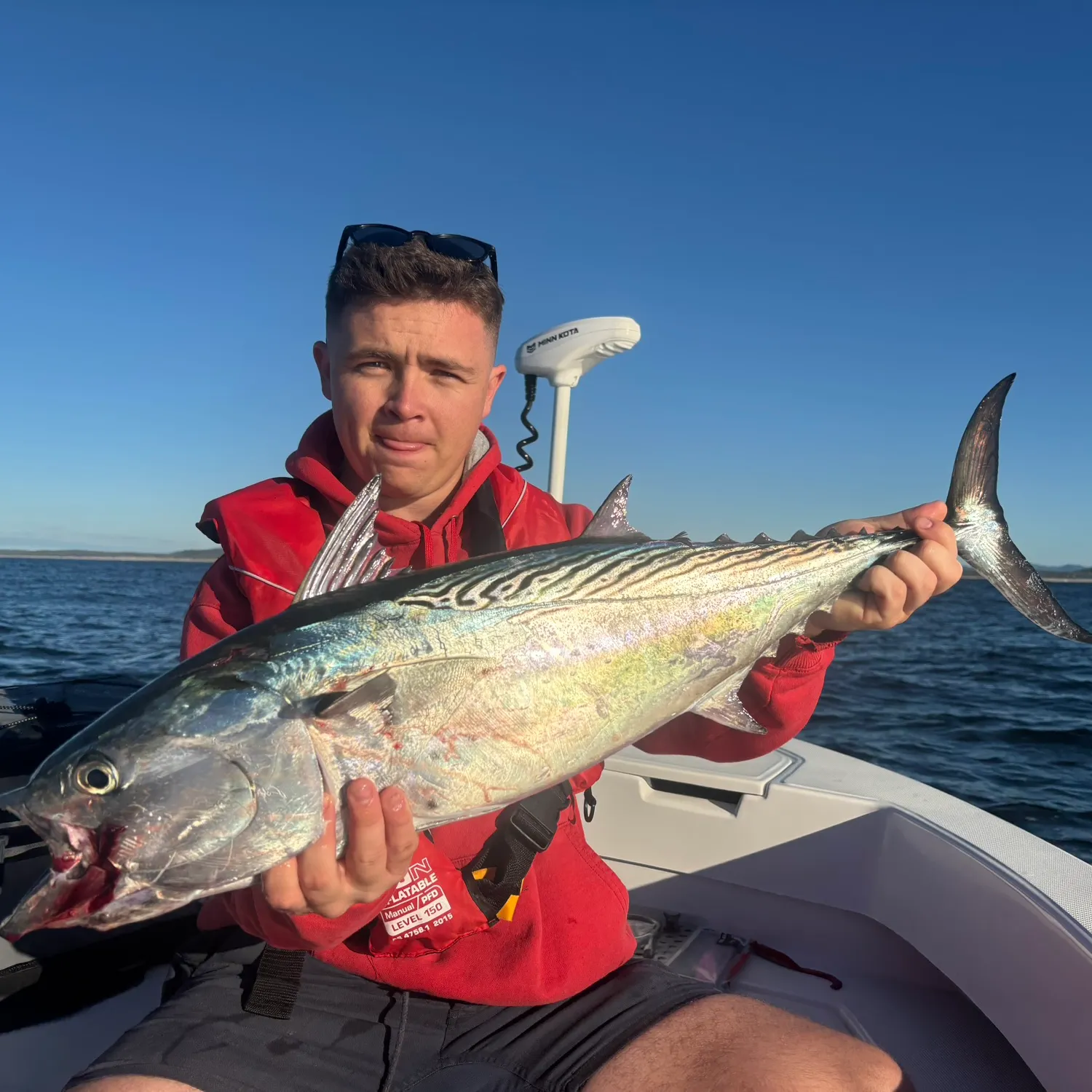 The most recent Kawakawa catches on Fishbrain