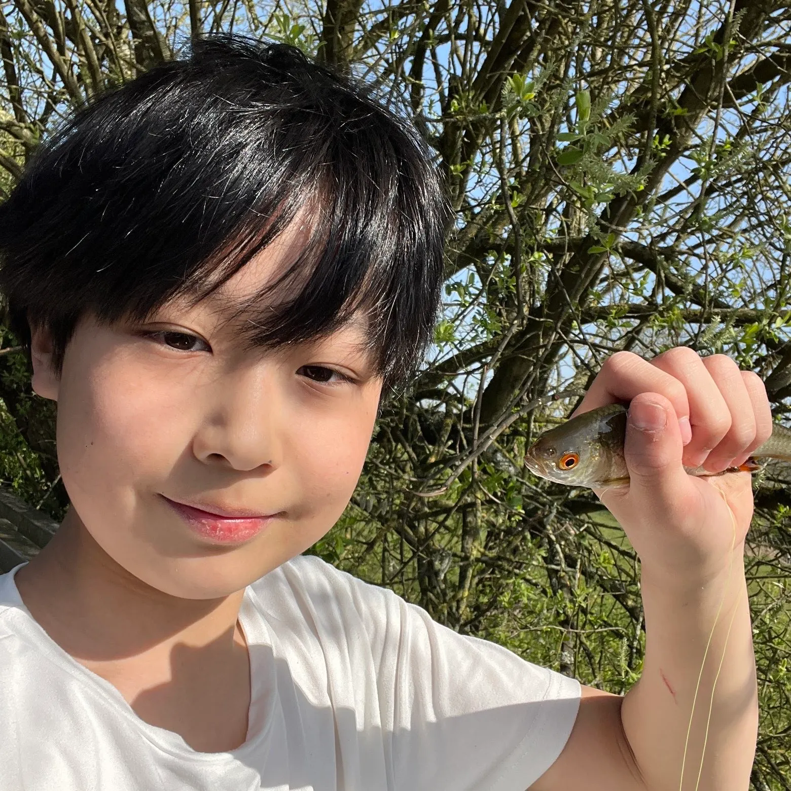 The most recent Common roach catches on Fishbrain