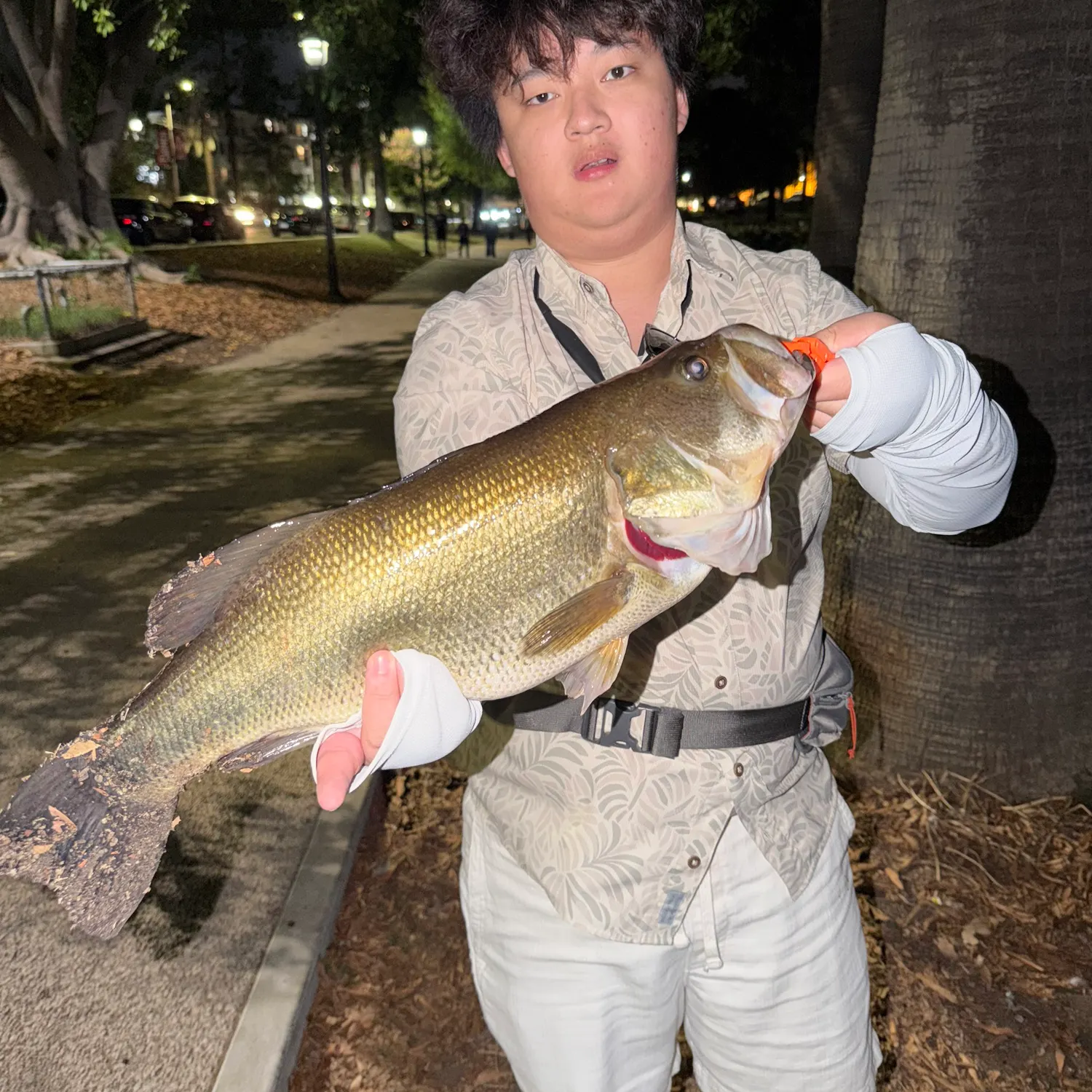 catch