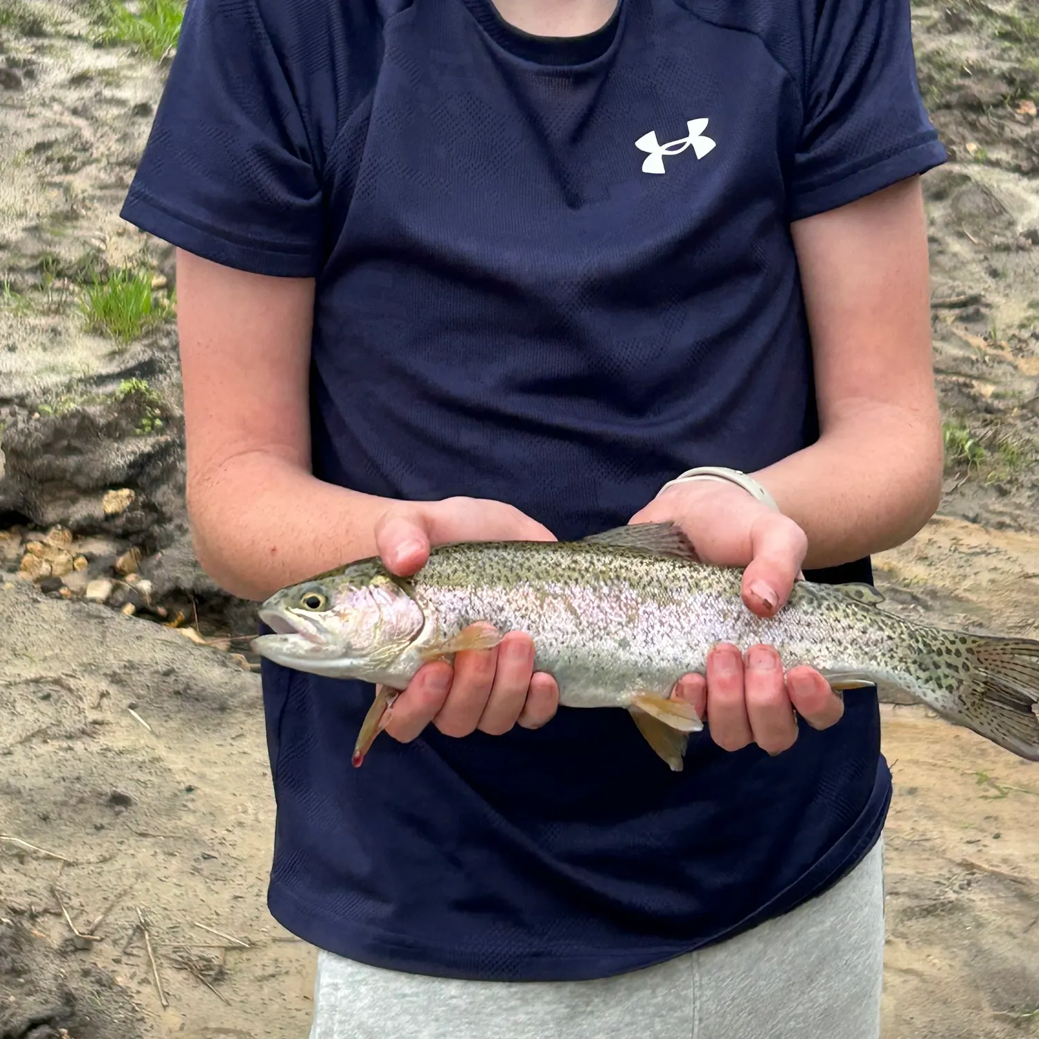 Rainbow trout caught on Fishbrain