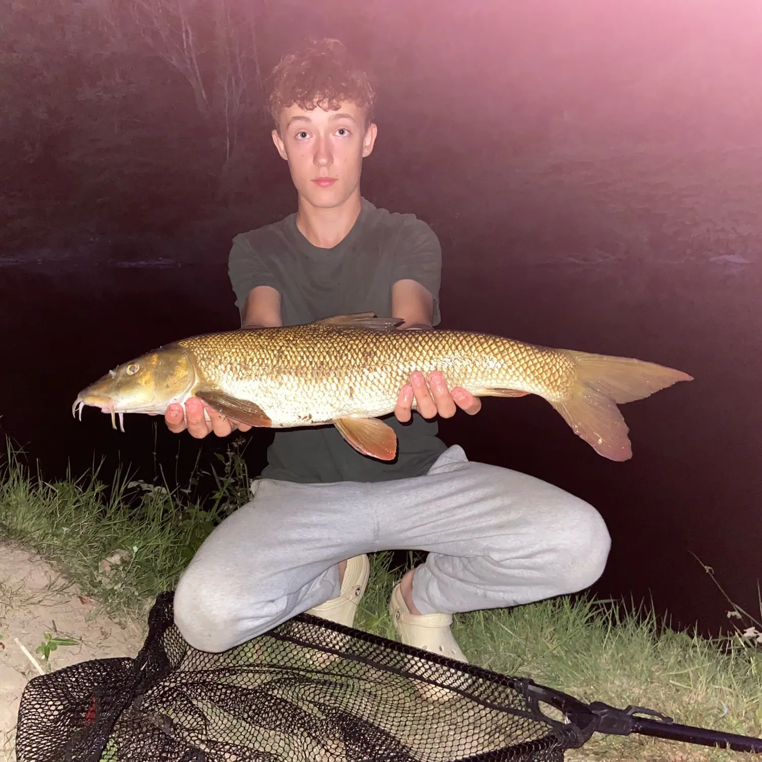 The most recent Common barbel catches on Fishbrain
