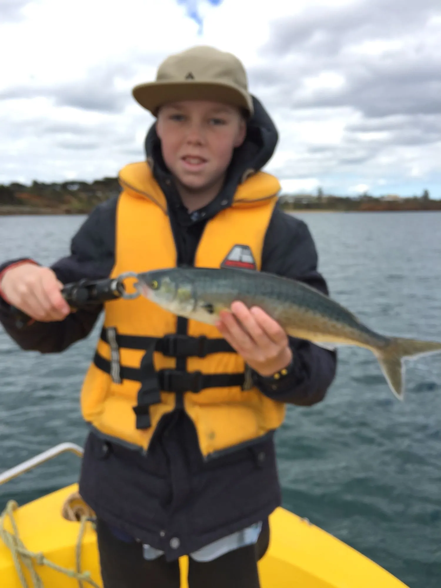 Post image from twebber7903