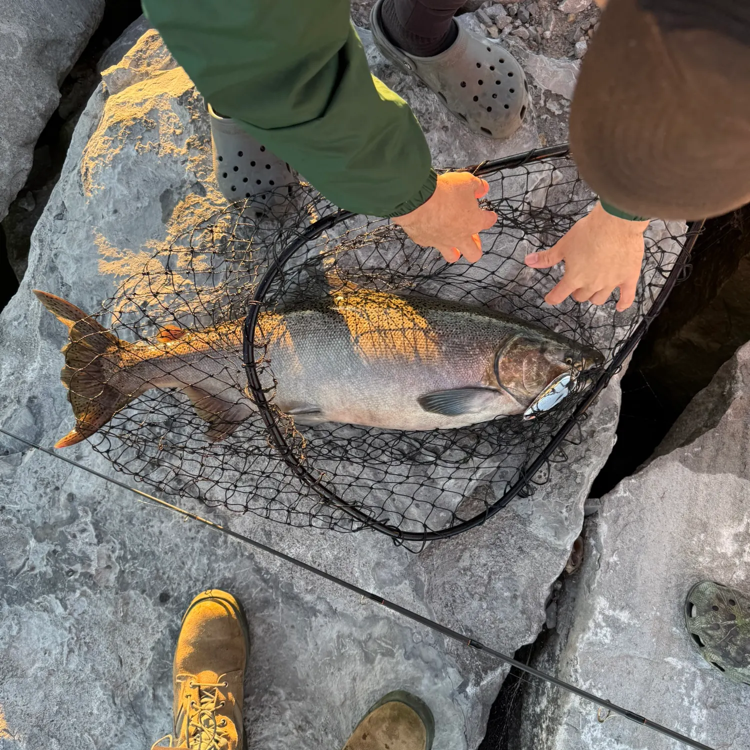 catch