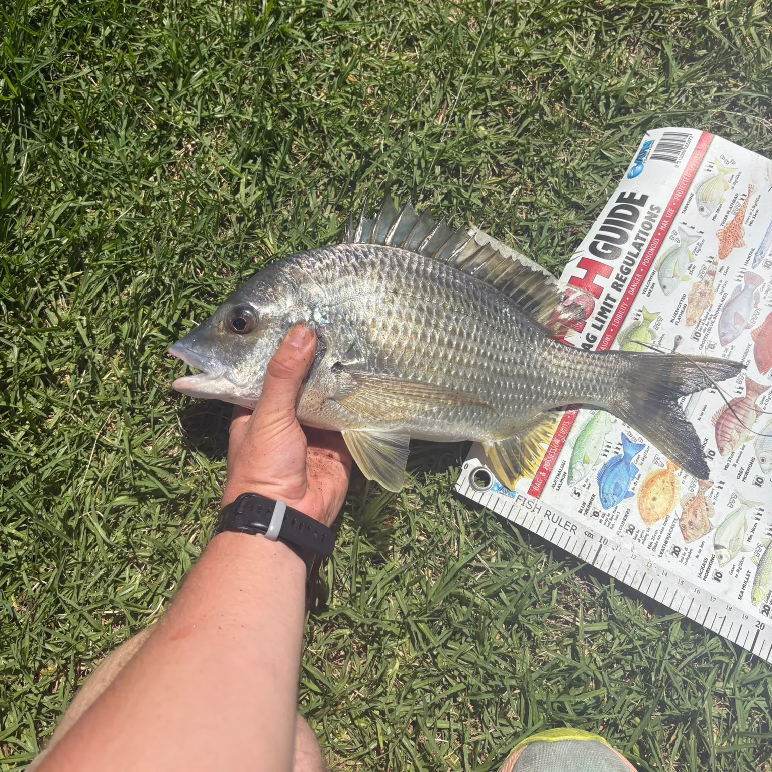 catch