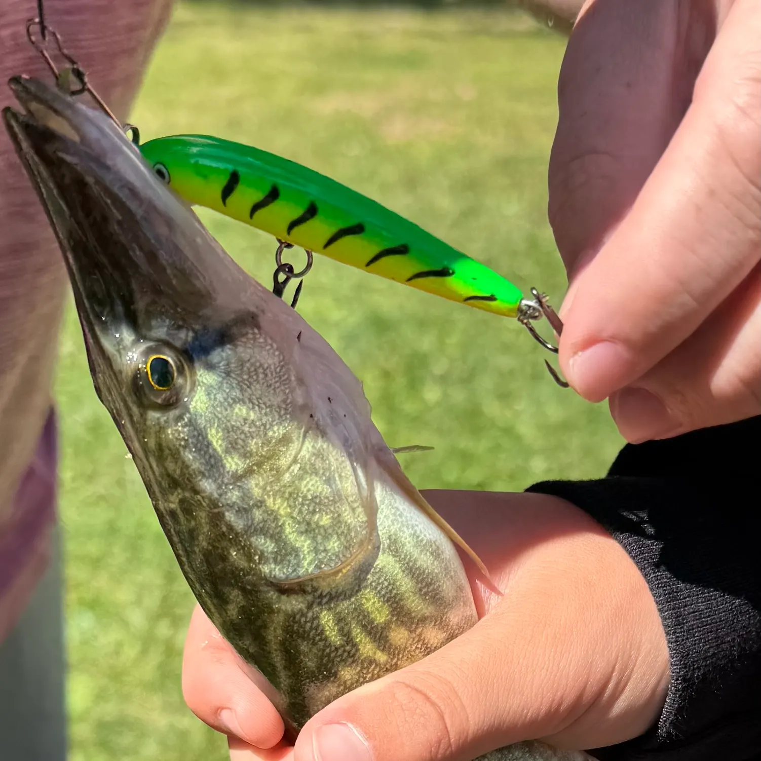 catch
