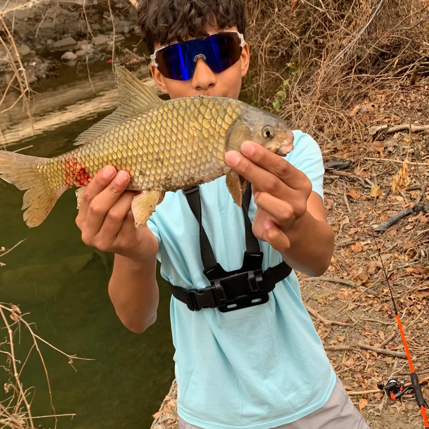 The most recent River carpsucker catches on Fishbrain