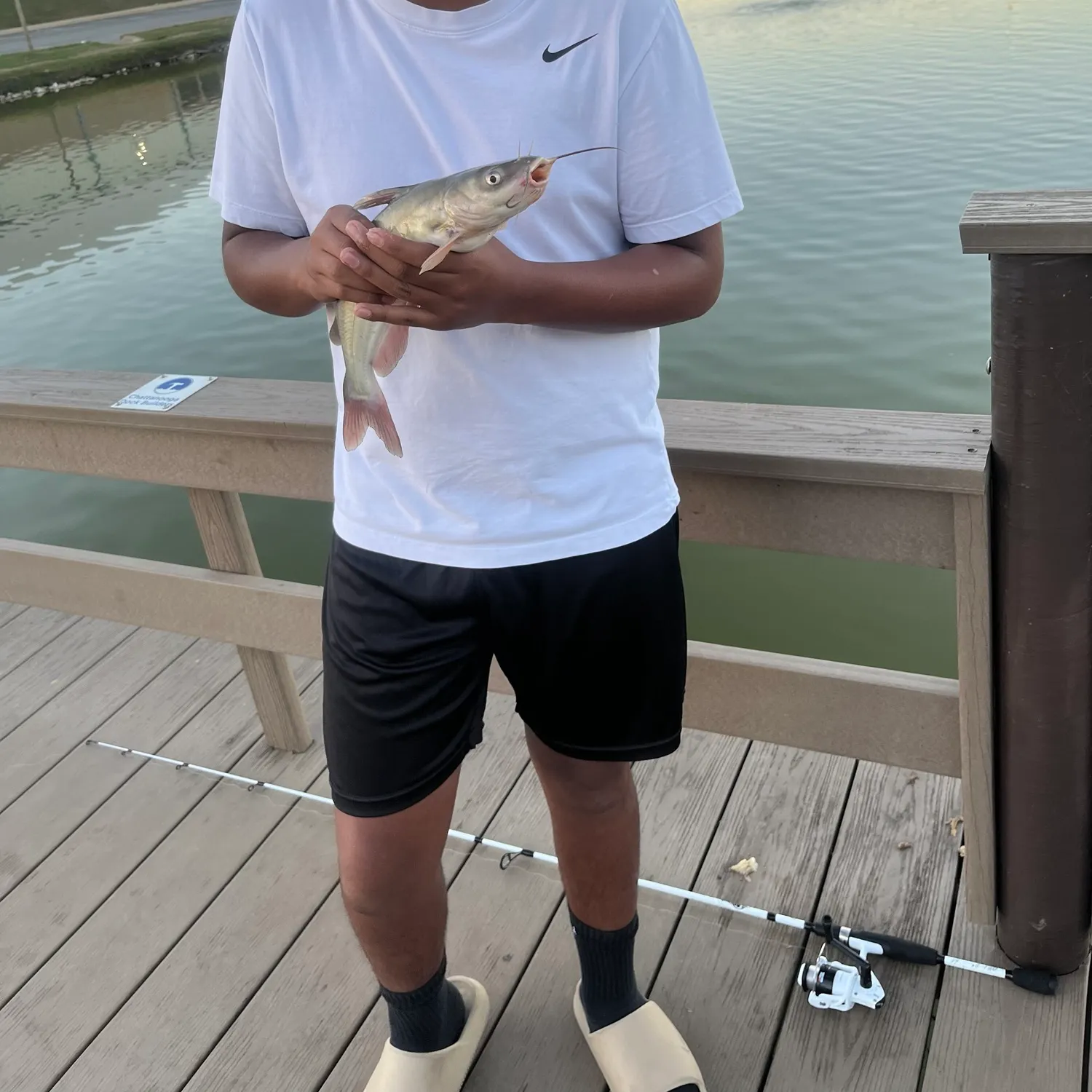 Channel catfish caught on Fishbrain