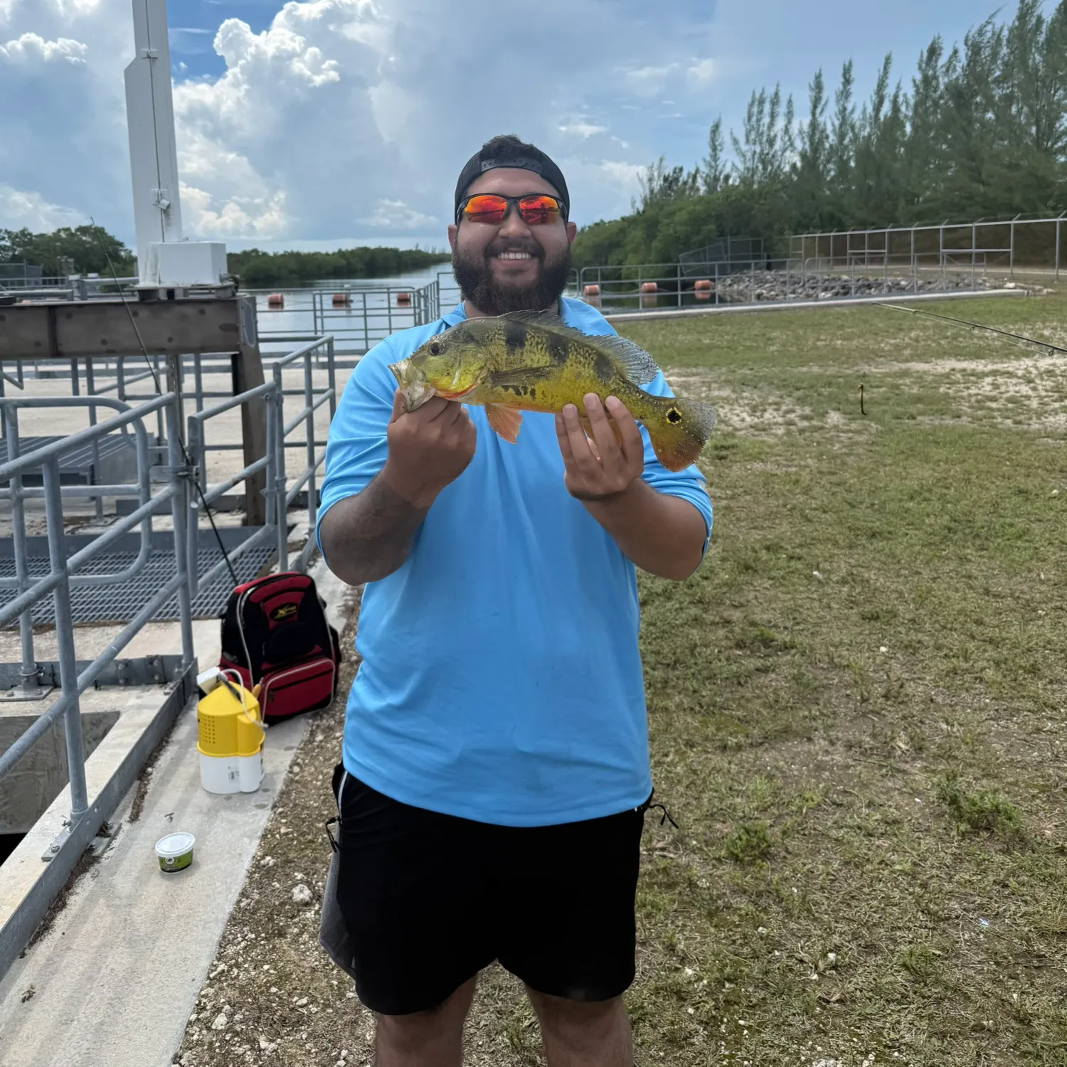 Butterfly peacock bass caught on Fishbrain