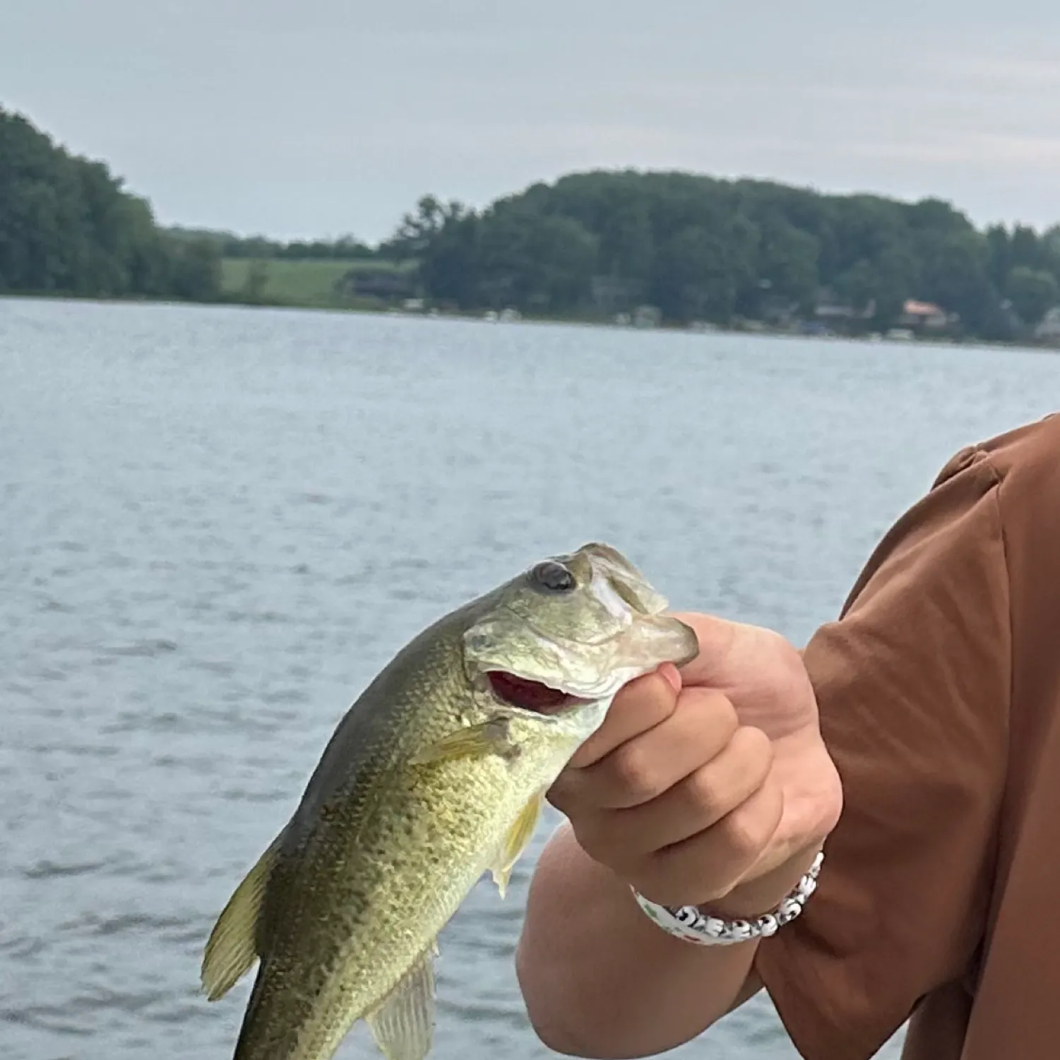 angler catch