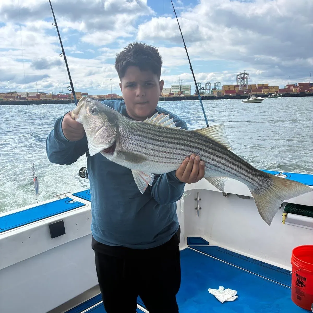 Striped bass caught on Fishbrain