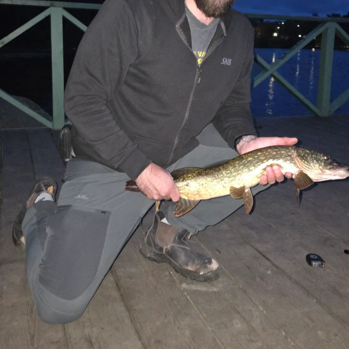 Northern pike caught on Fishbrain