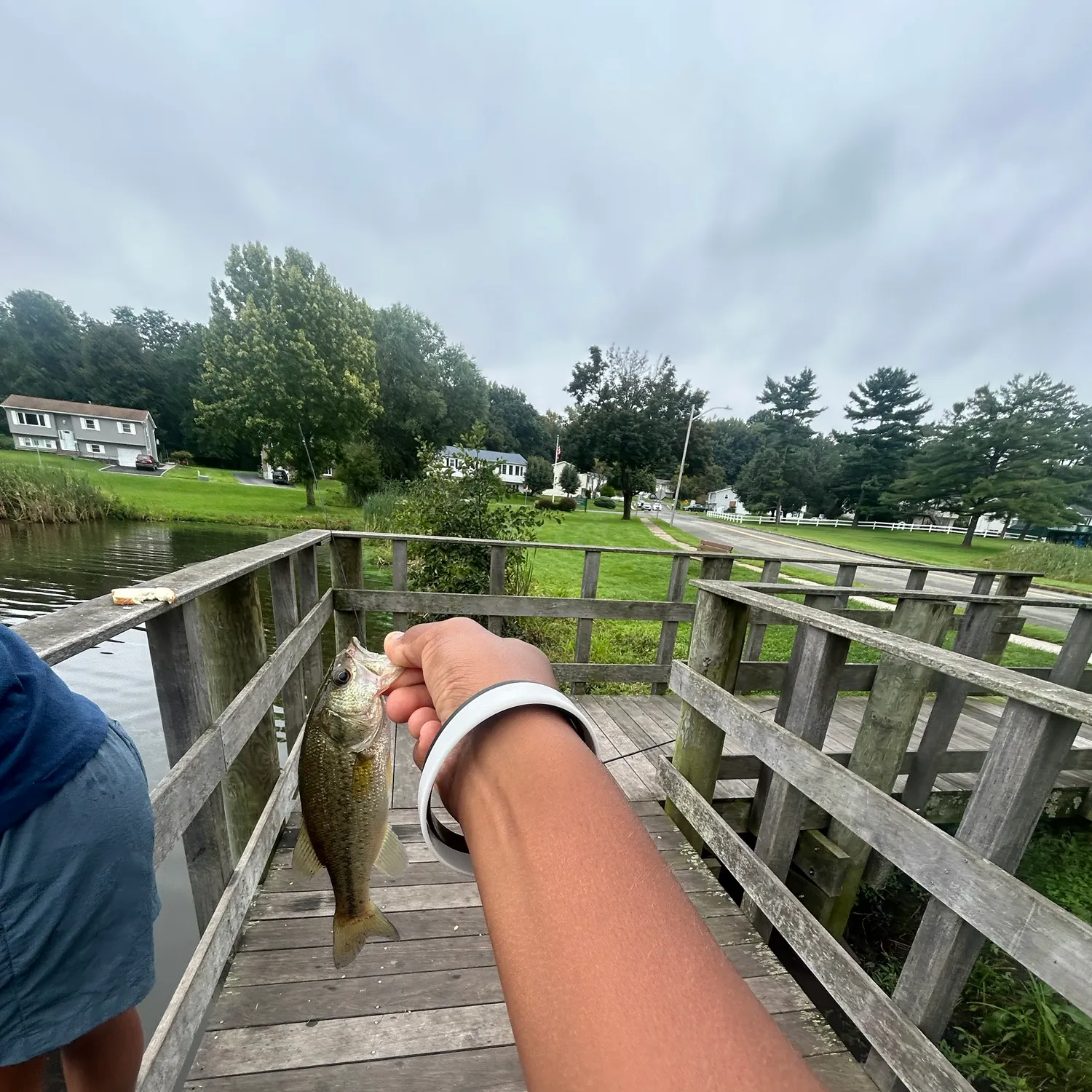 catch