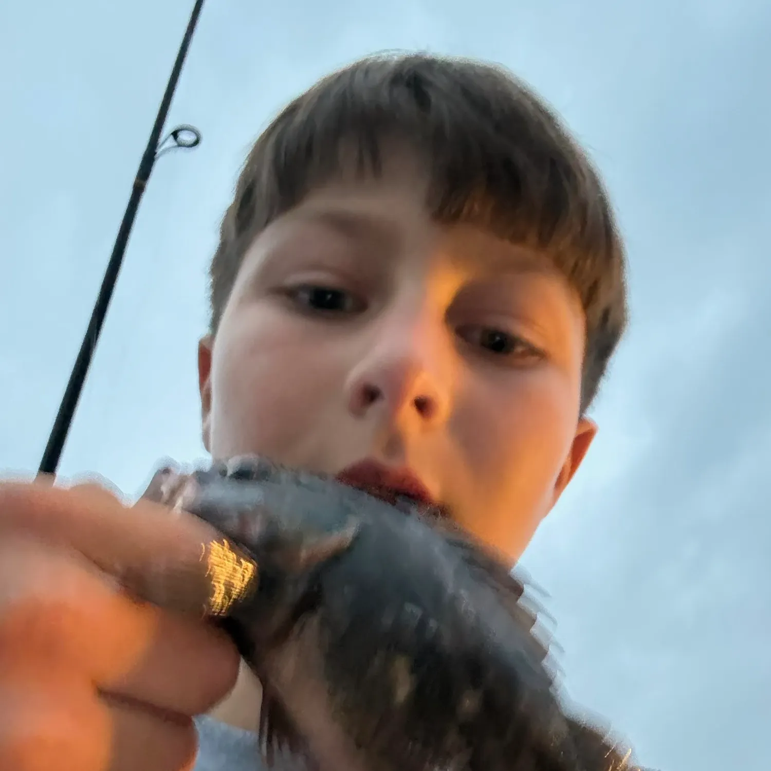 The most recent Grass rockfish catches on Fishbrain