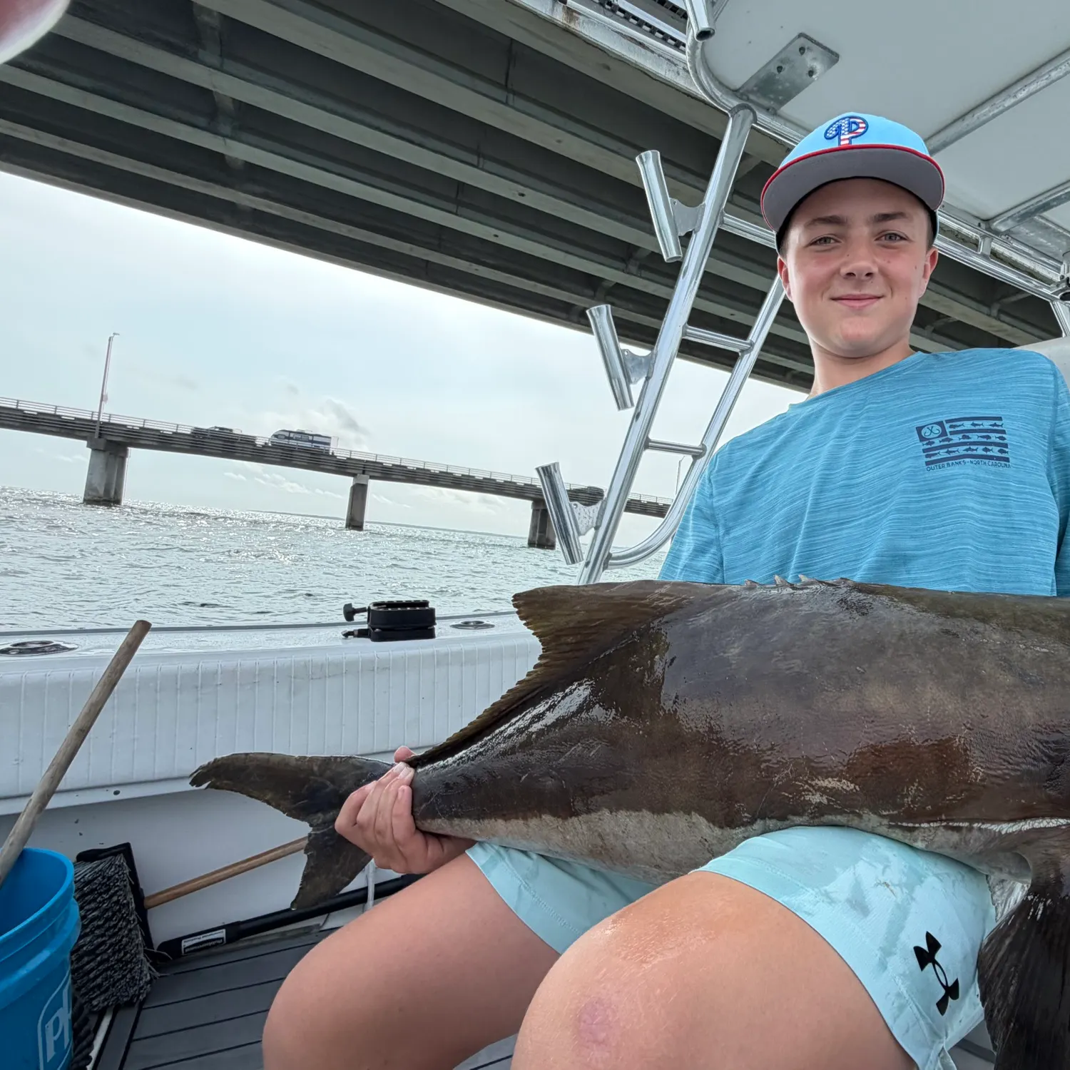 The most recent Cobia catches on Fishbrain