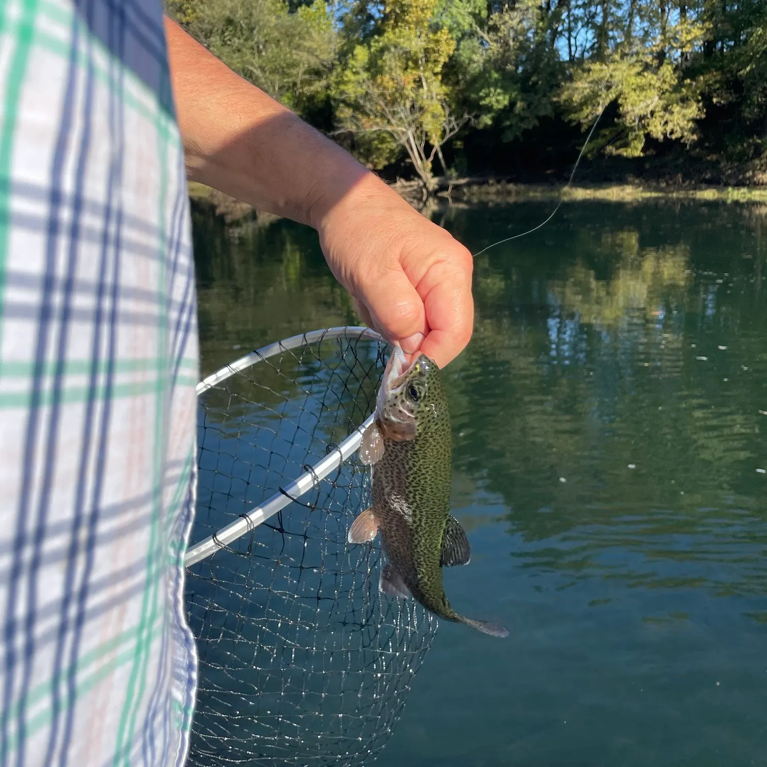 Rainbow trout caught on Fishbrain