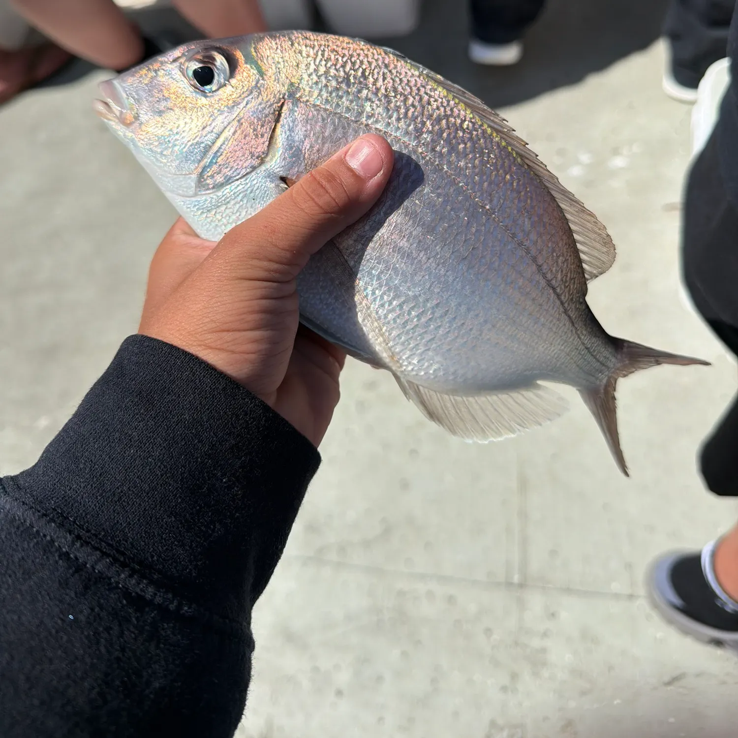 catch