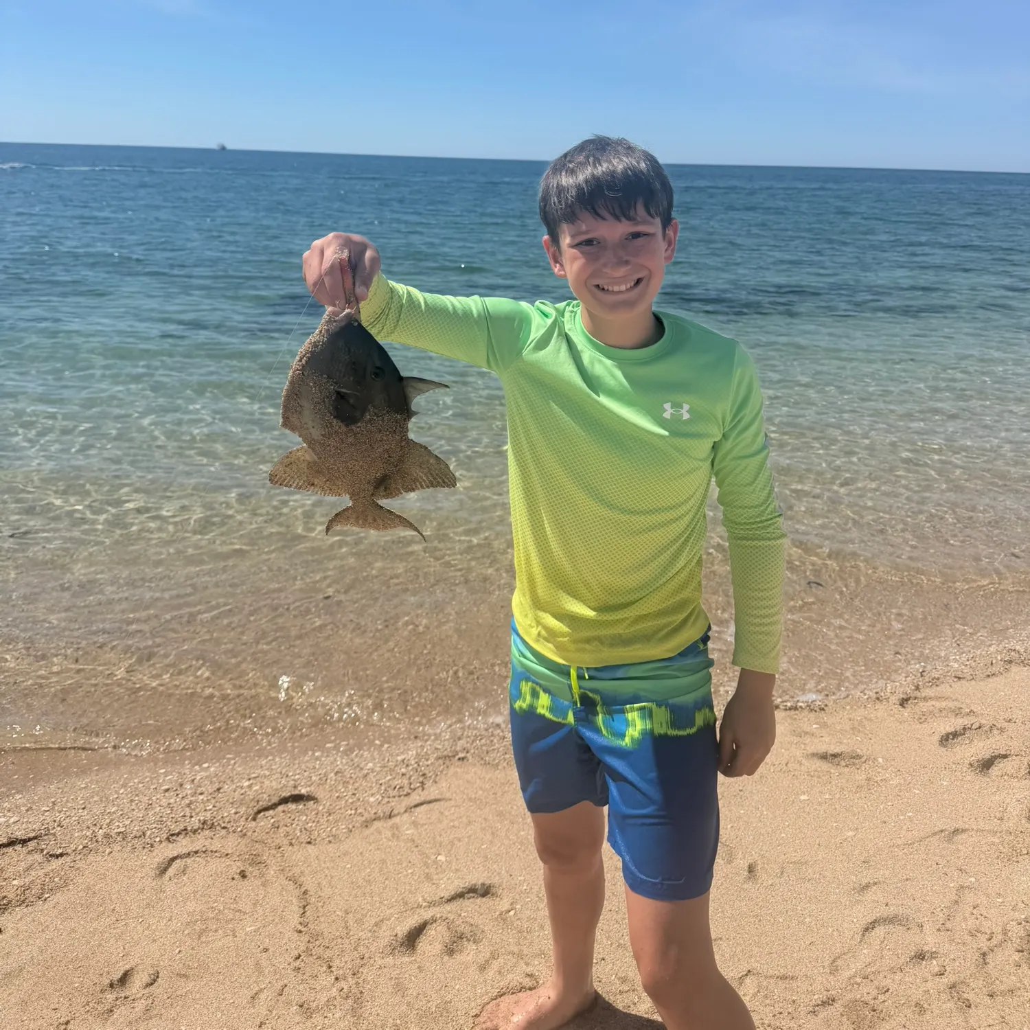 The most recent Ocean triggerfish catches on Fishbrain