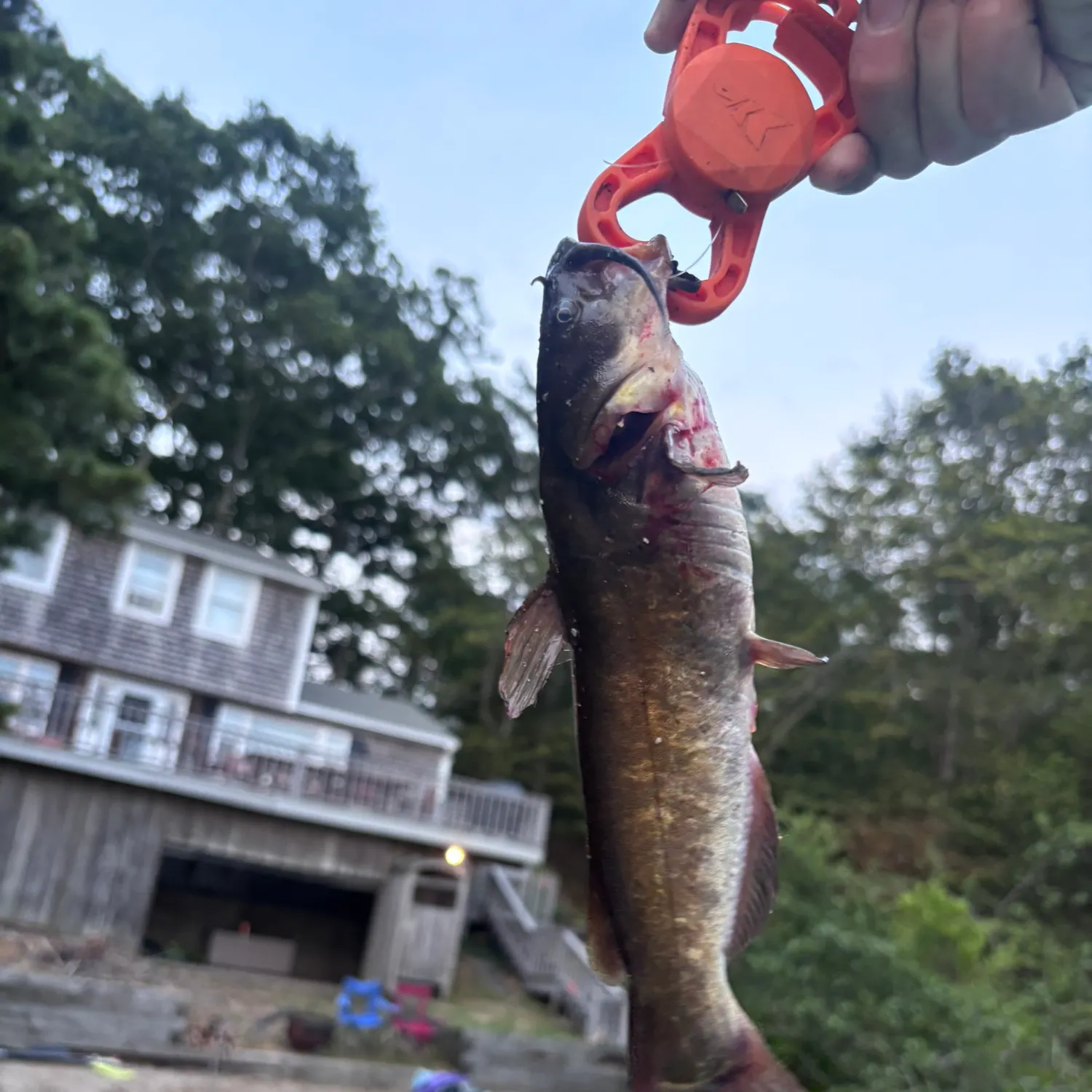 catch