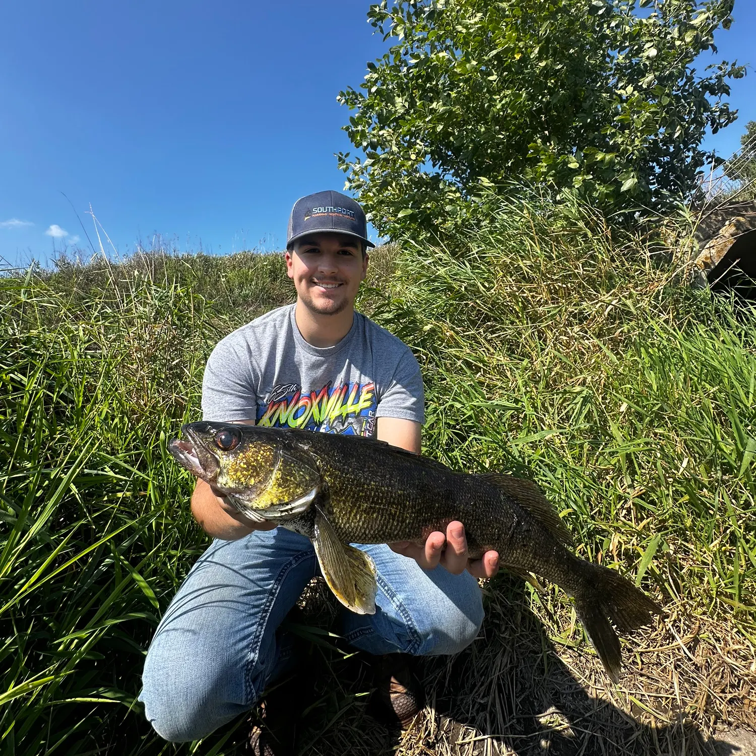 Walleye caught on Fishbrain