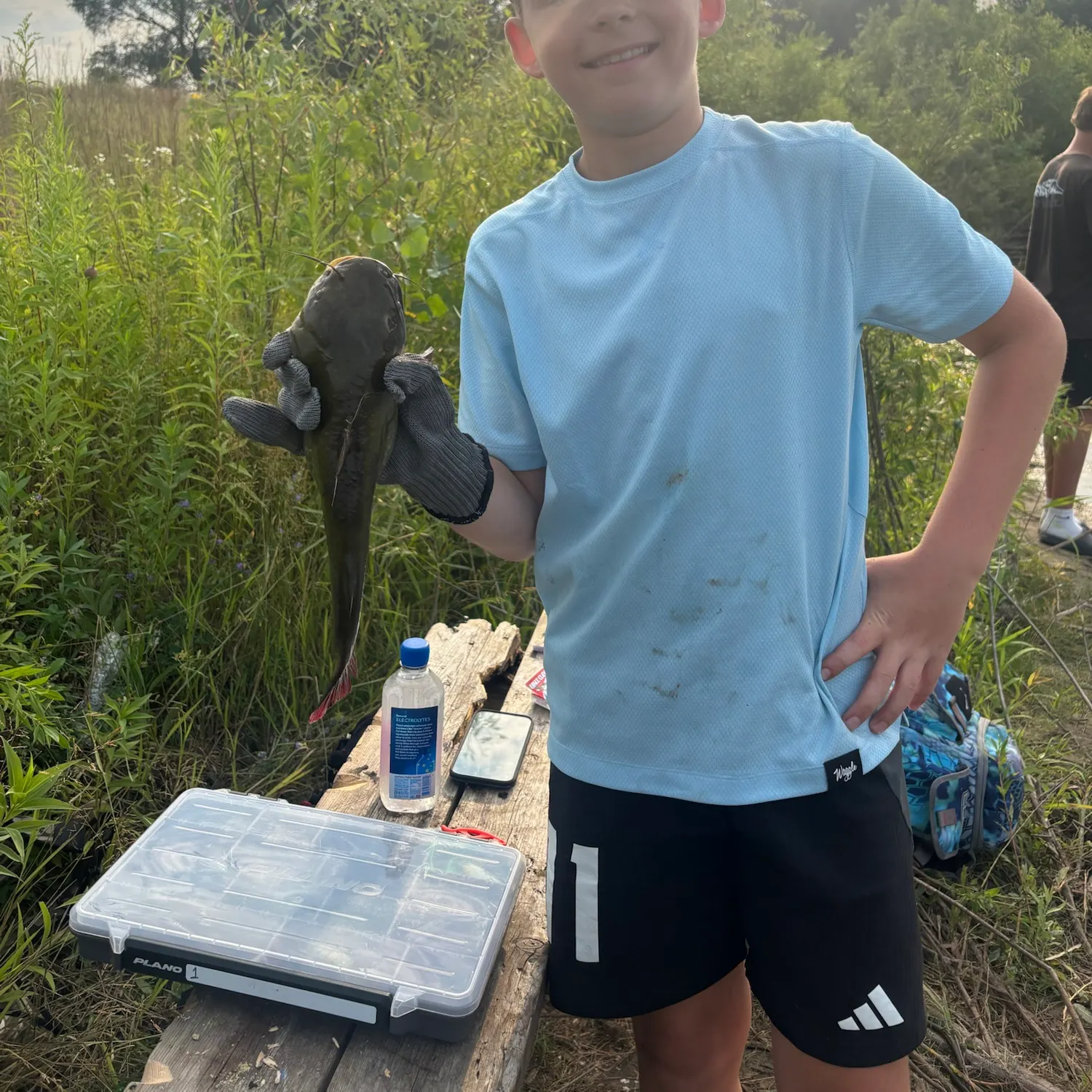 Yellow bullhead caught on Fishbrain