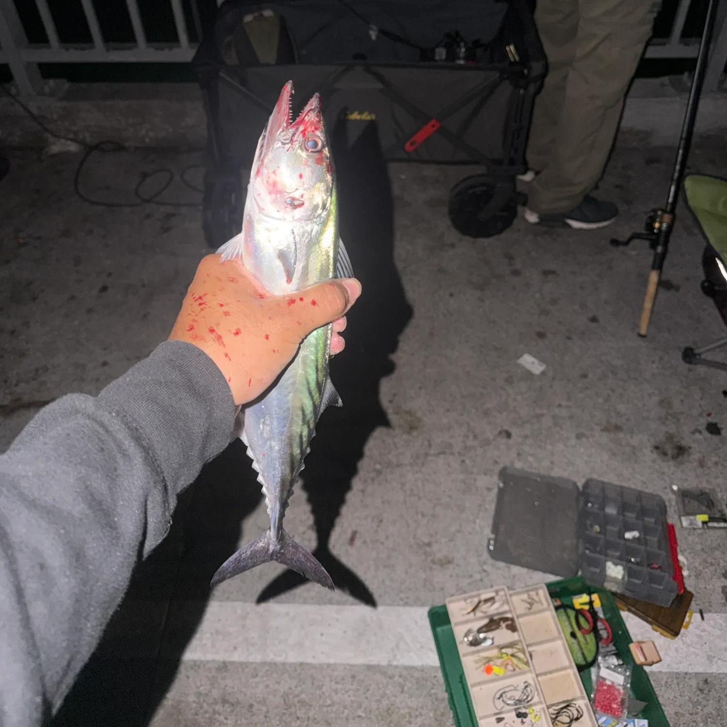 catch
