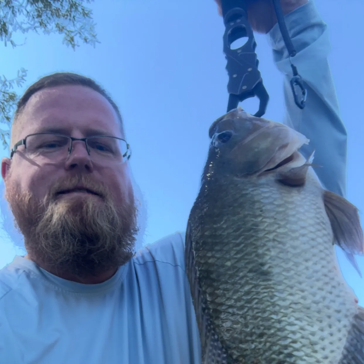 Nile tilapia caught on Fishbrain