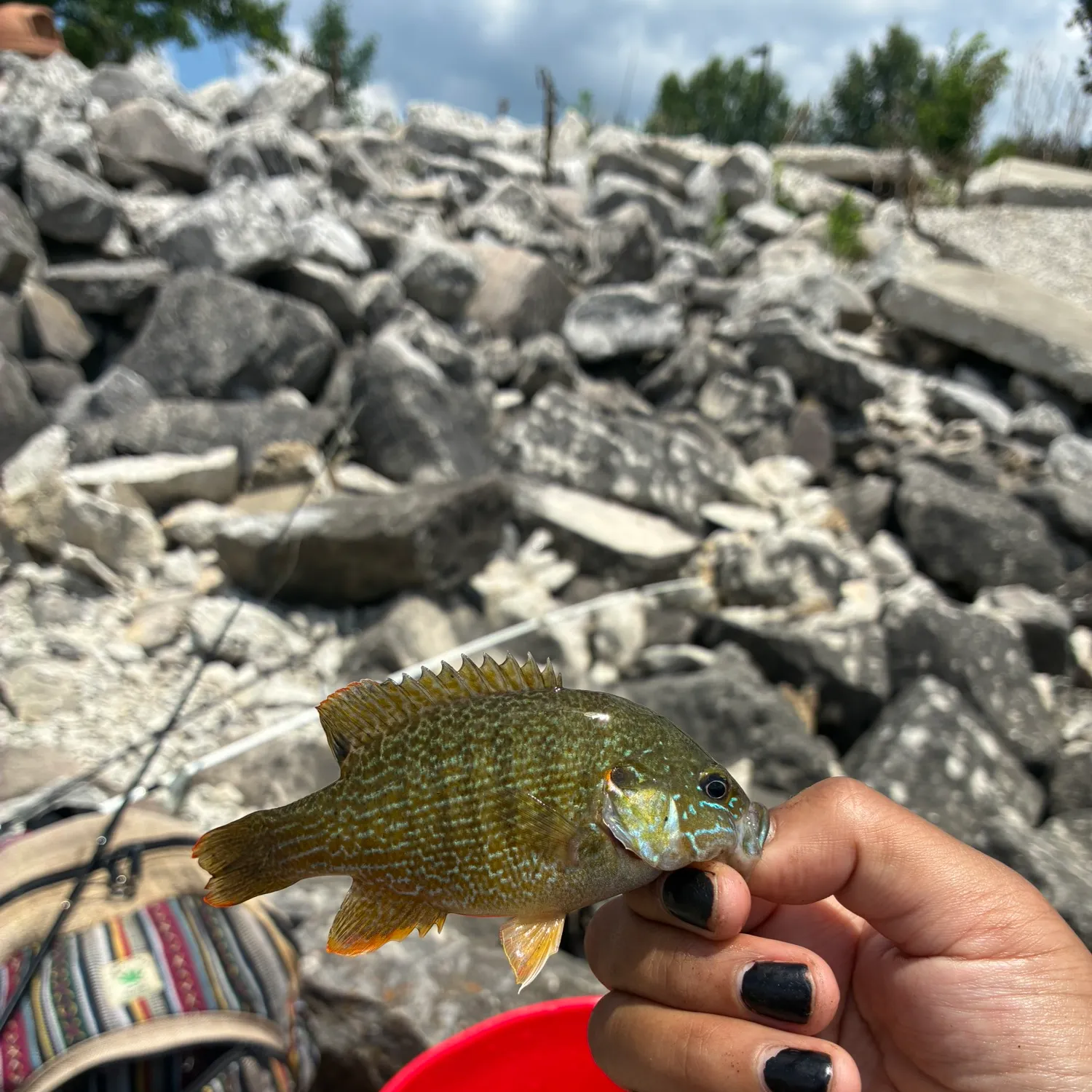 catch