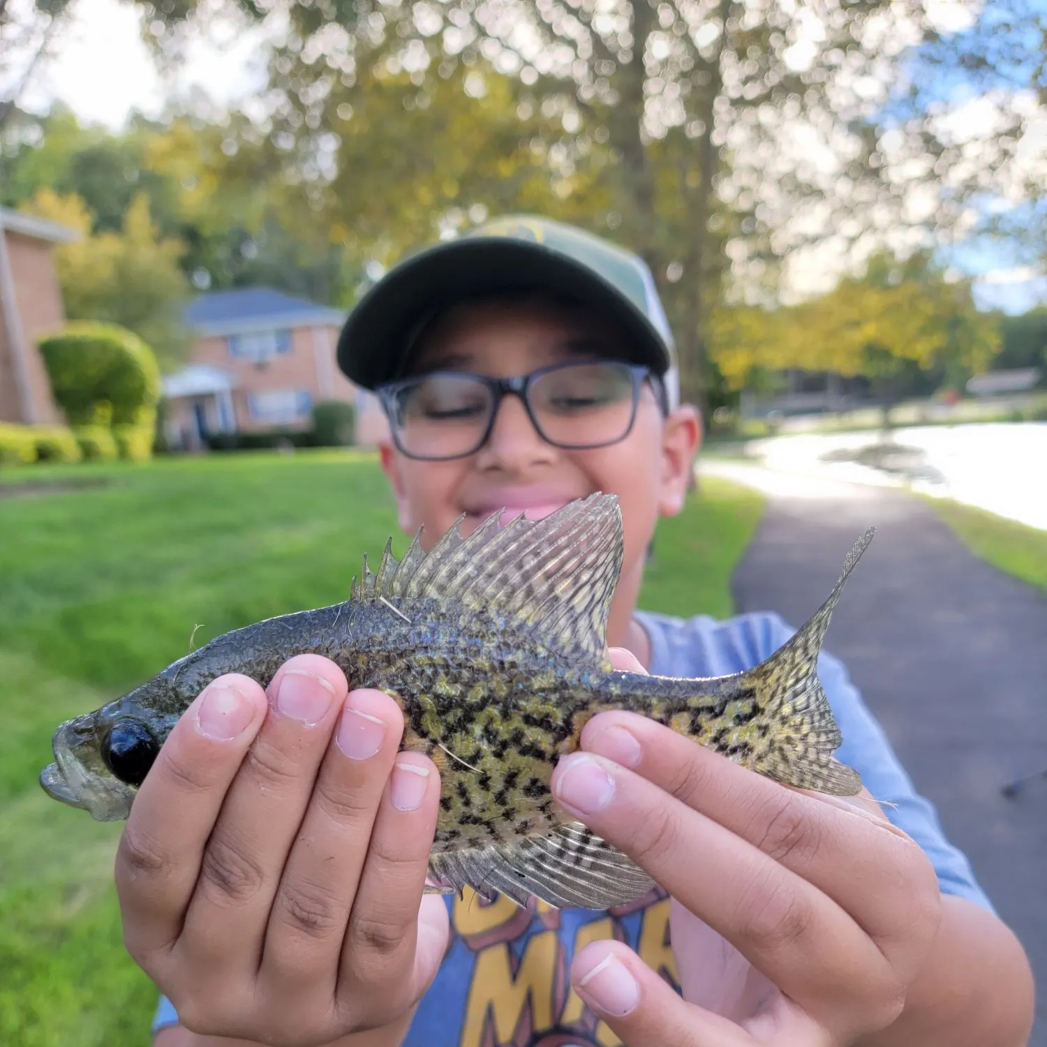 Black crappie caught on Fishbrain