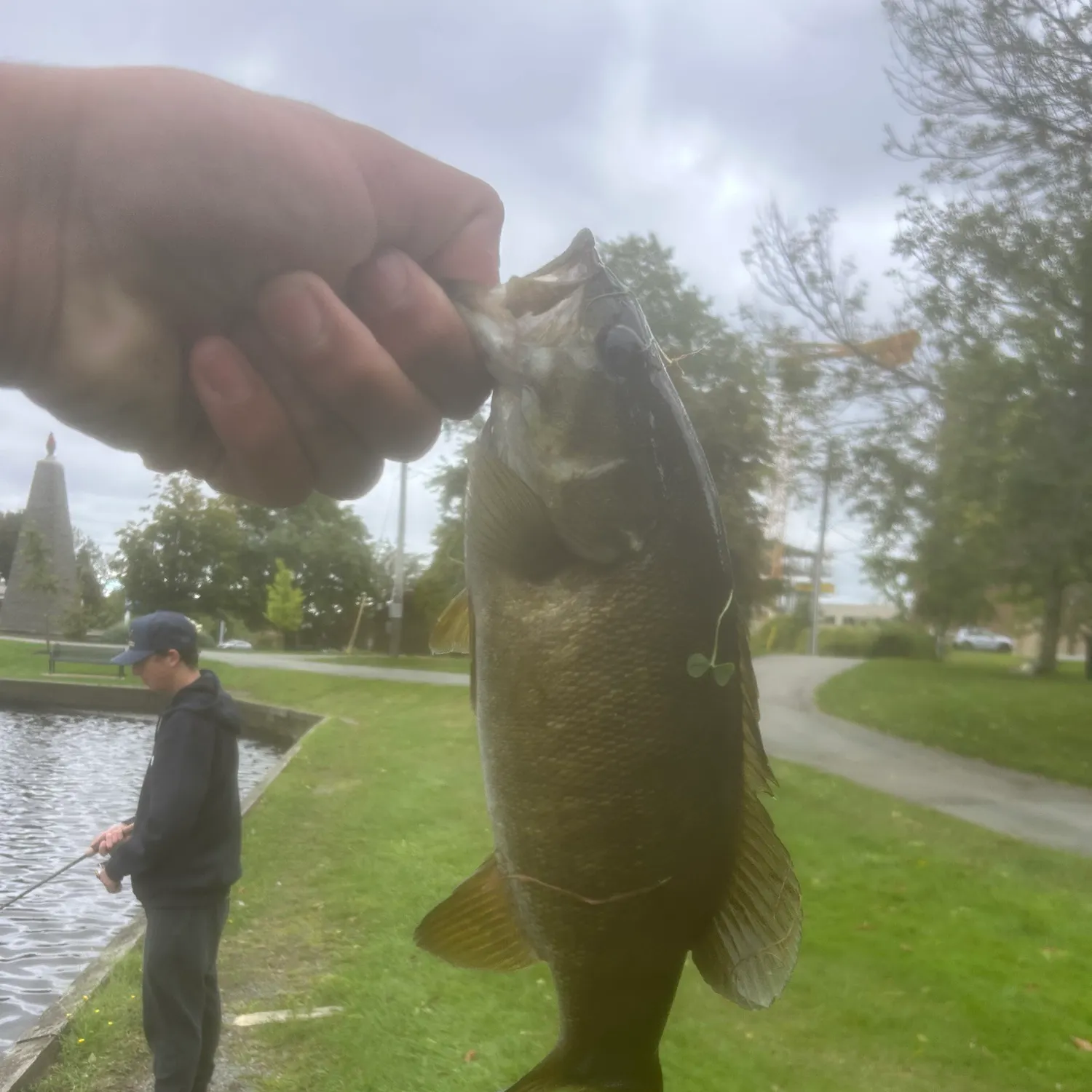 Smallmouth bass caught on Fishbrain