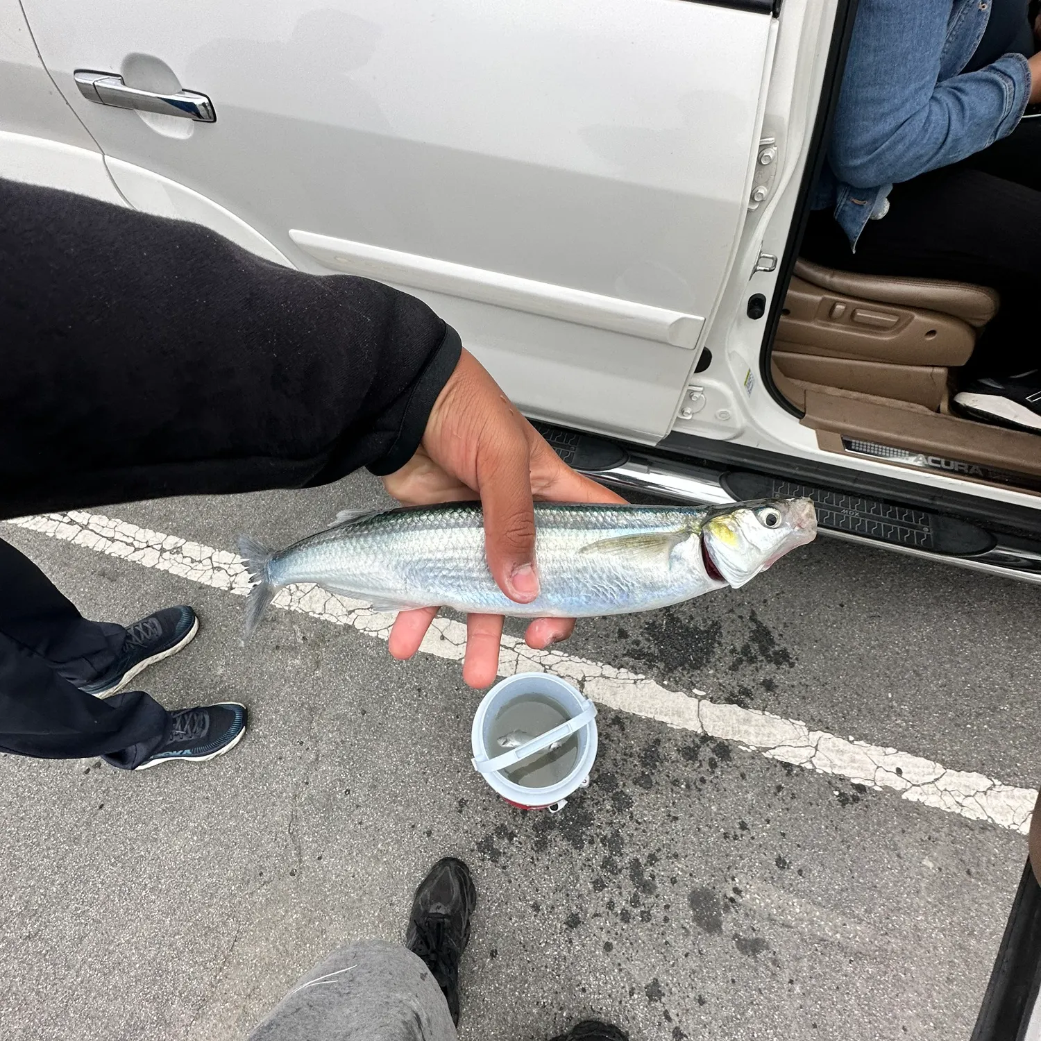 catch