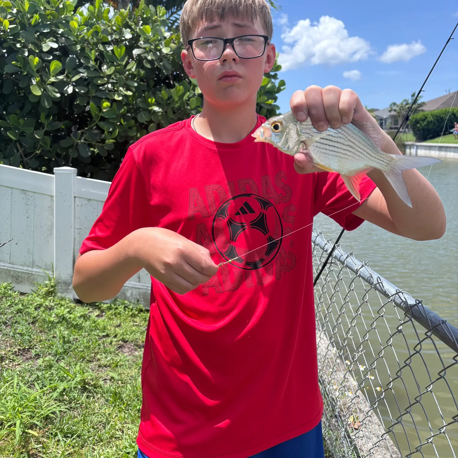 The most recent Striped mojarra catches on Fishbrain