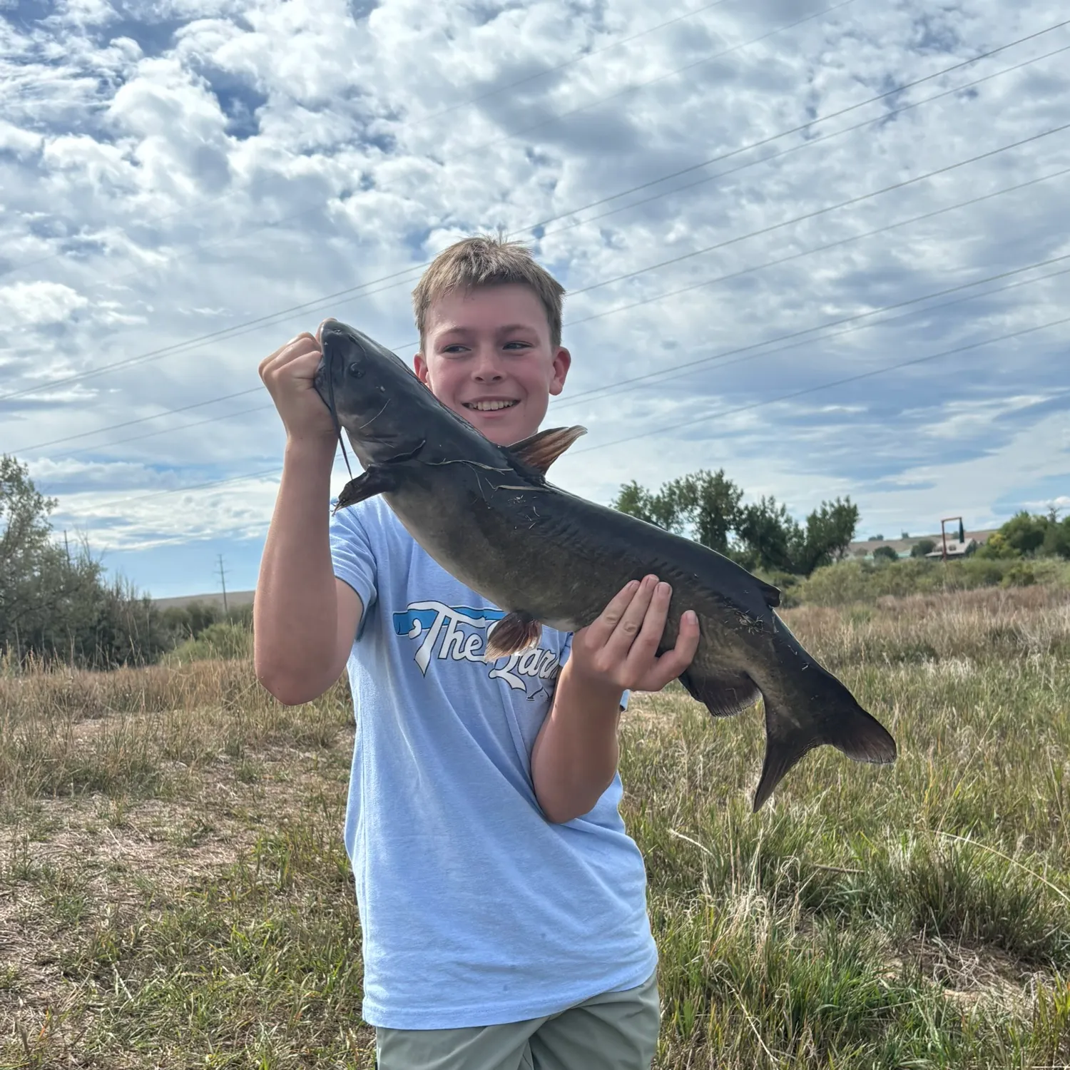 Channel catfish caught on Fishbrain