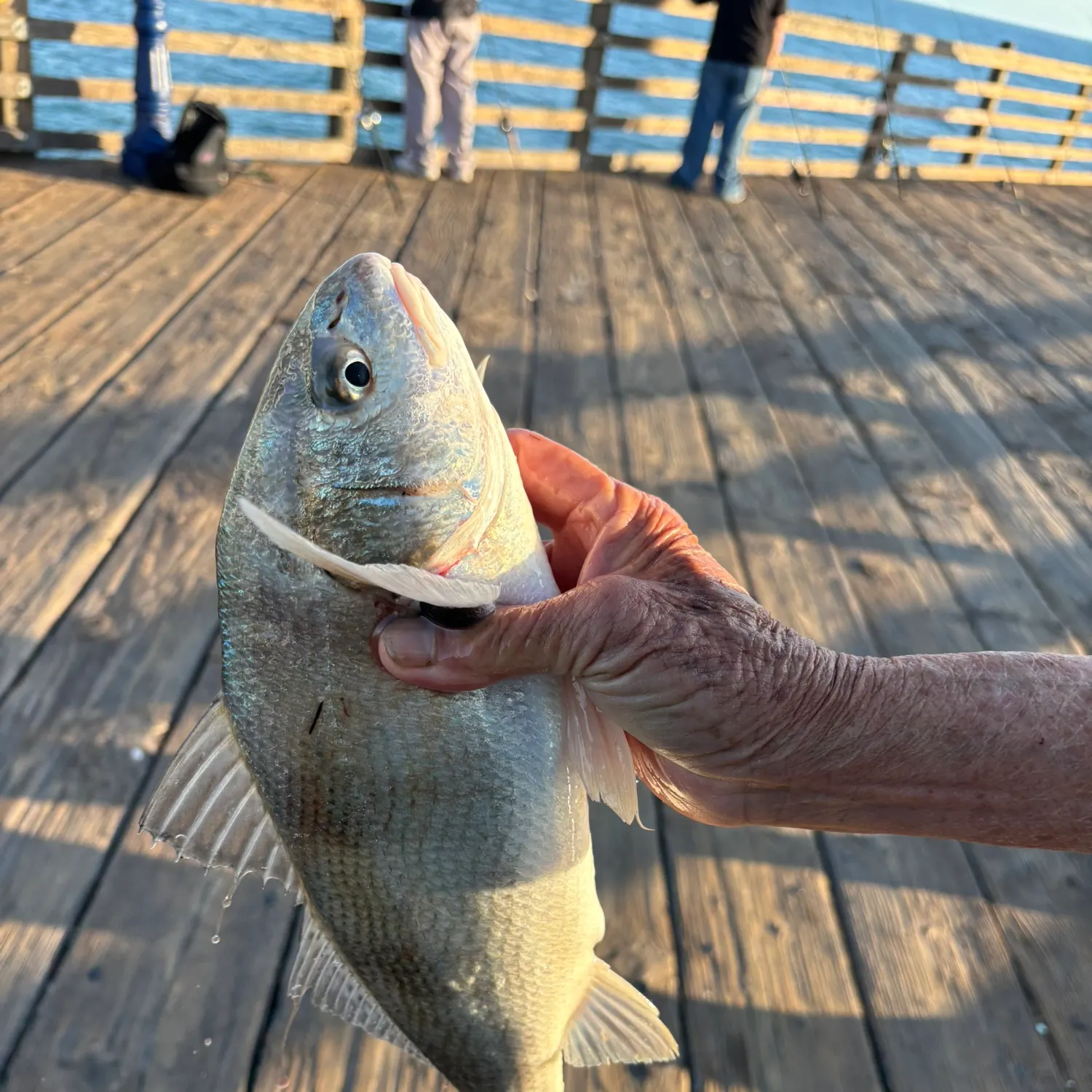 catch