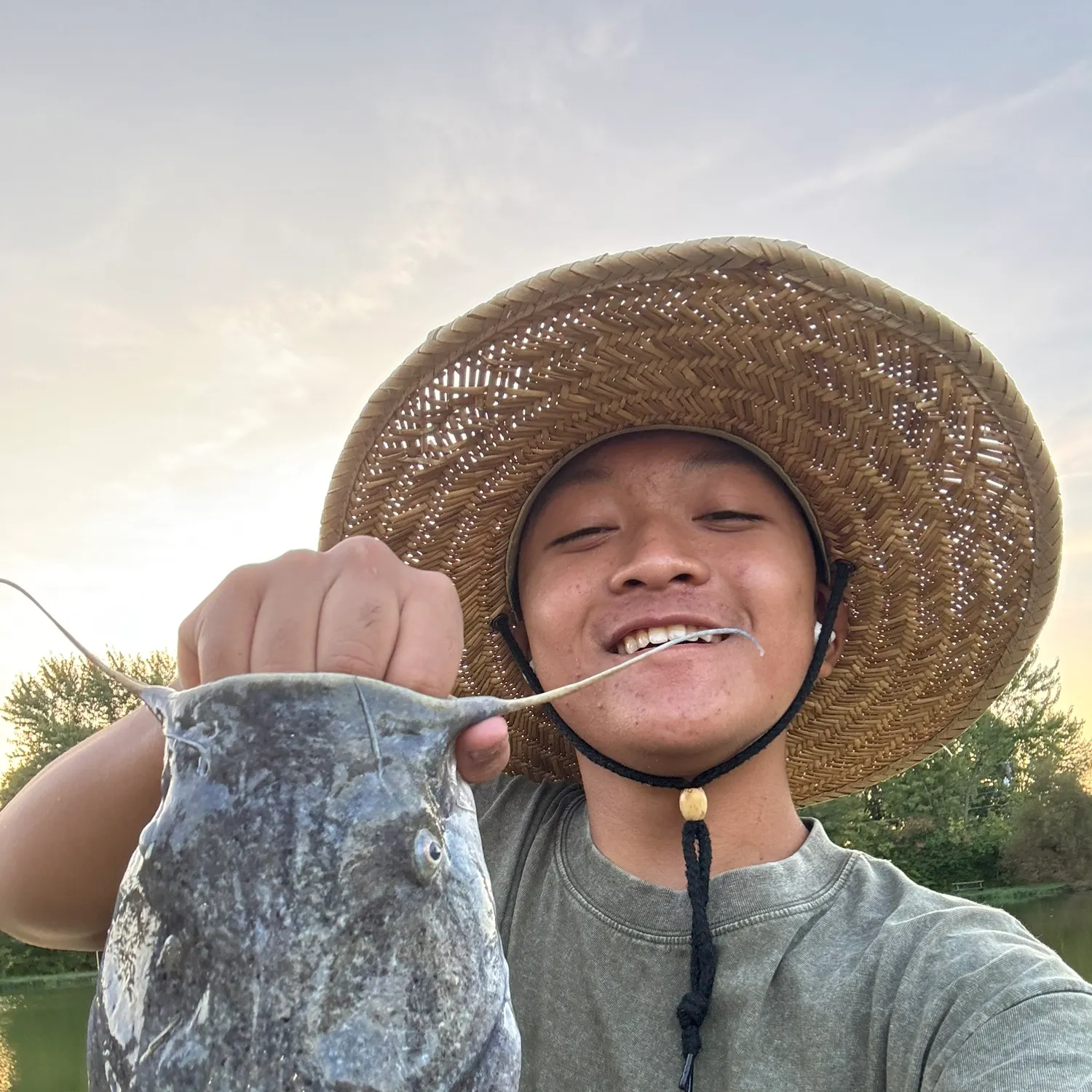 Flathead catfish caught on Fishbrain