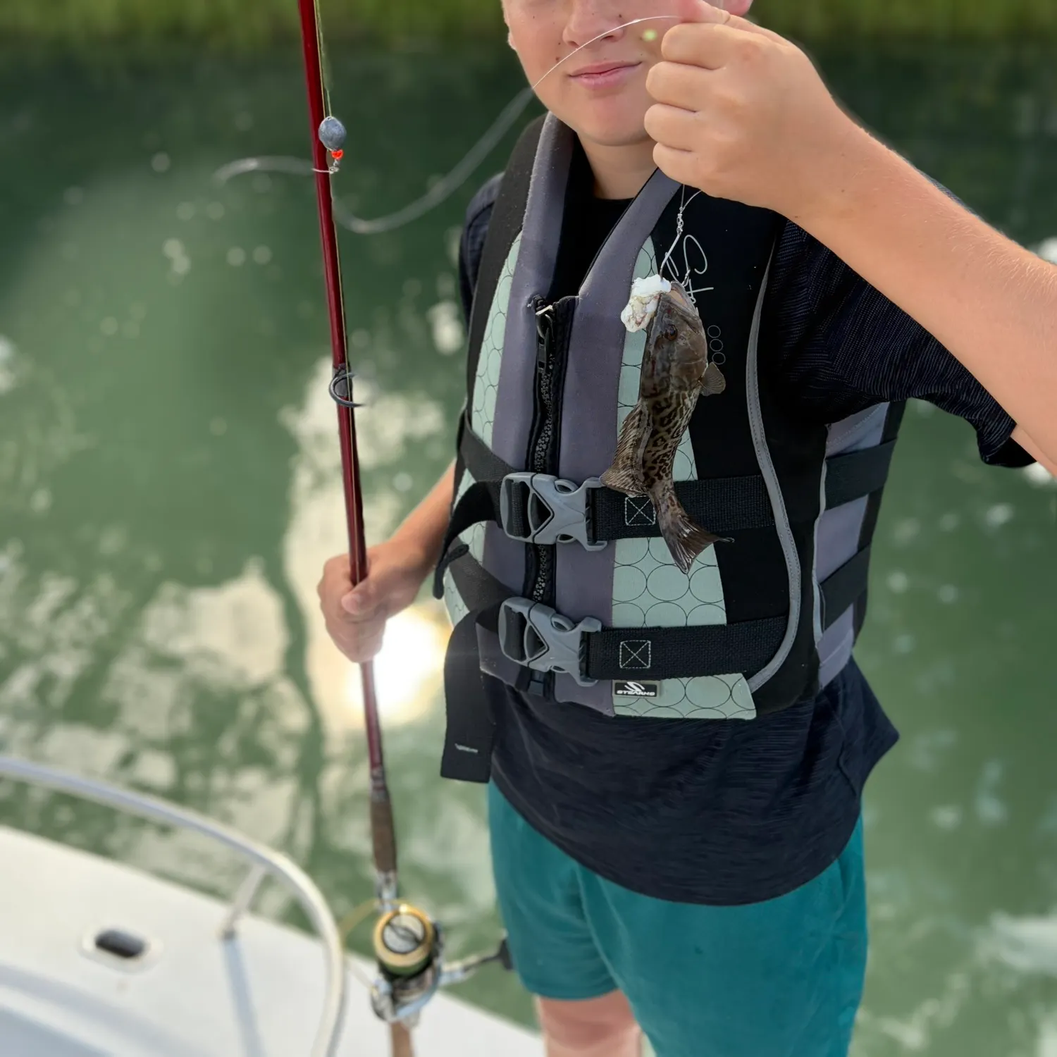 Black sea bass caught on Fishbrain