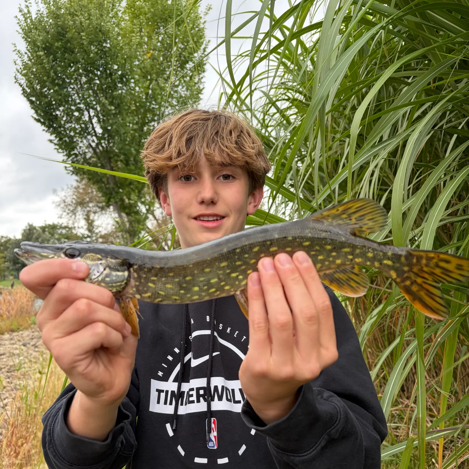 Northern pike caught on Fishbrain