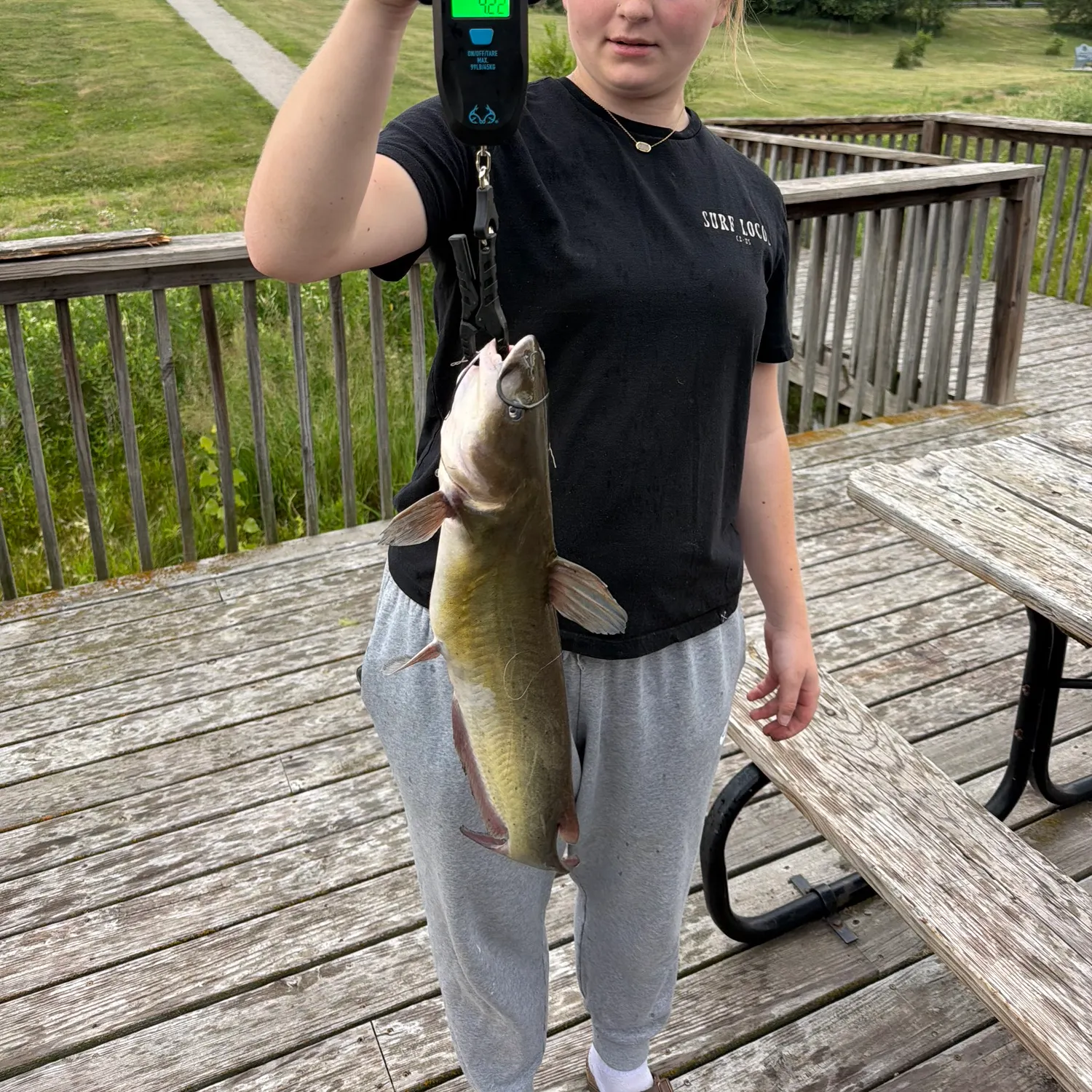 recently logged catches