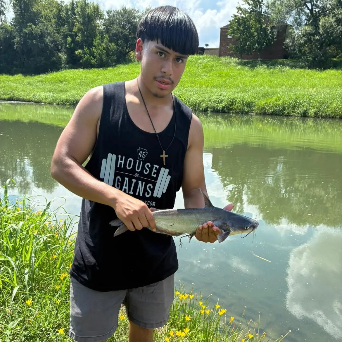 Blue catfish caught on Fishbrain