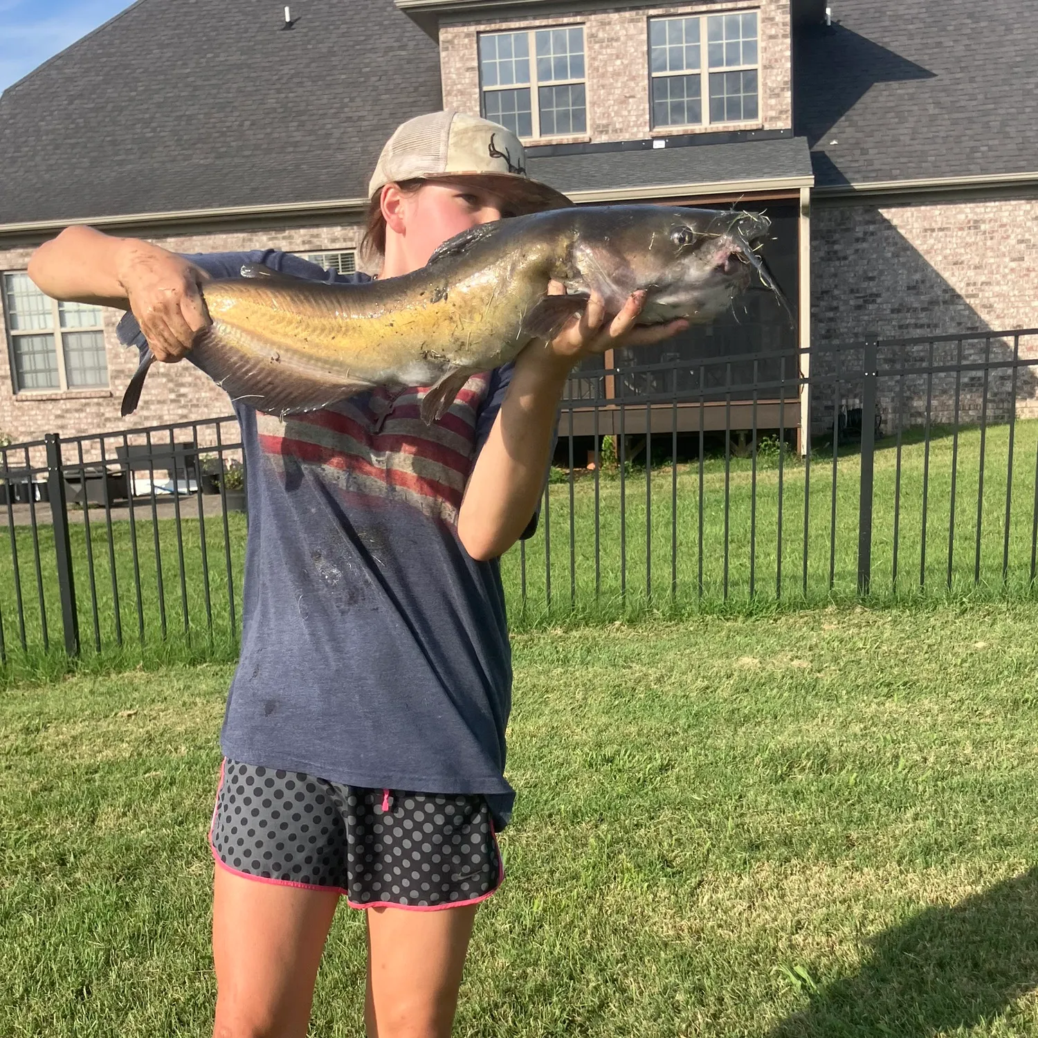 Channel catfish caught on Fishbrain