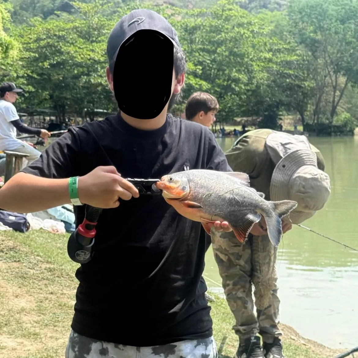 The most recent Black pacu catches on Fishbrain