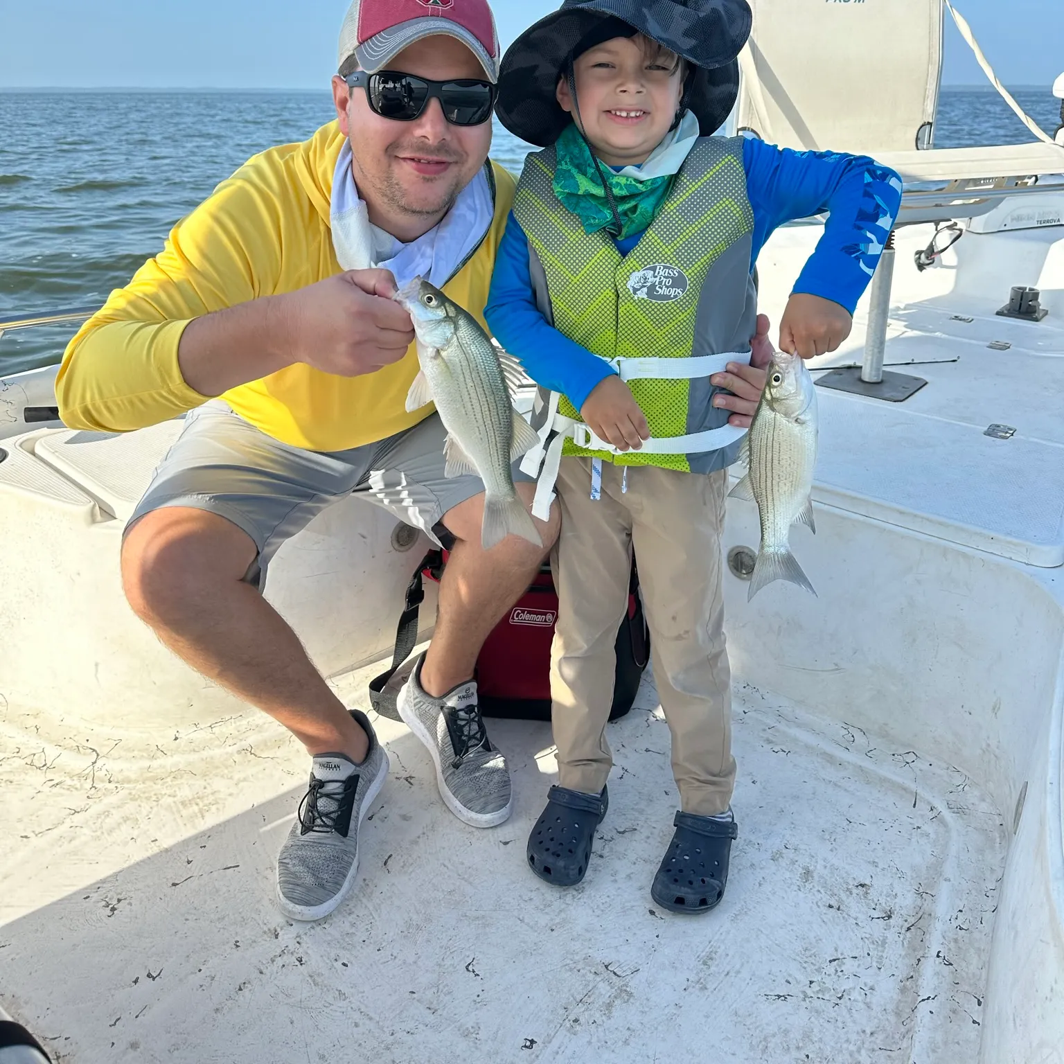 The most recent White bass catches on Fishbrain