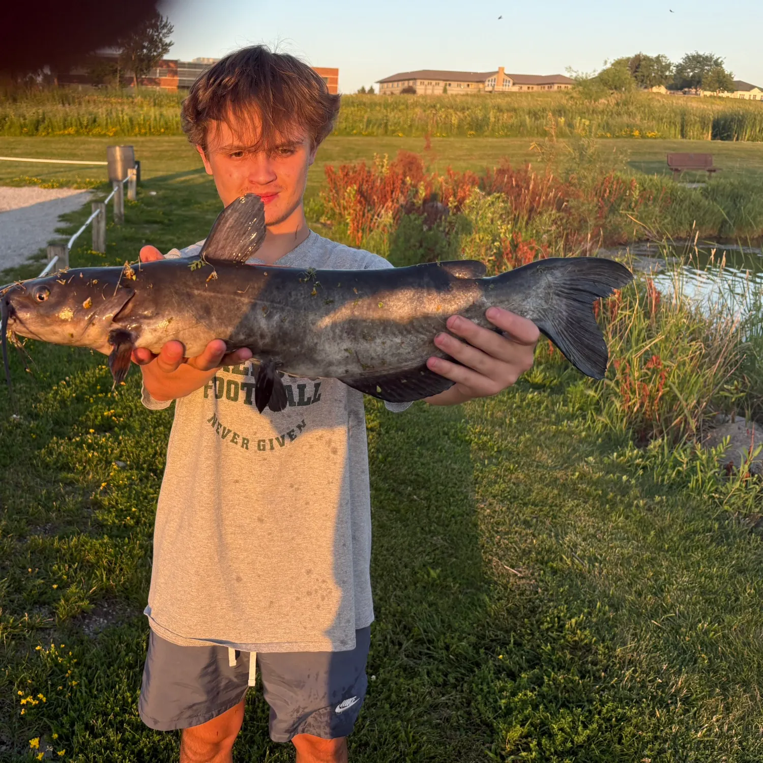 catch
