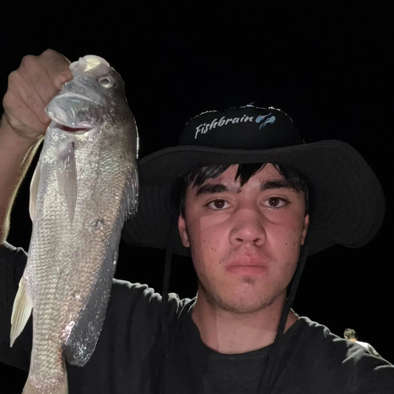 The most recent Freshwater drum catches on Fishbrain