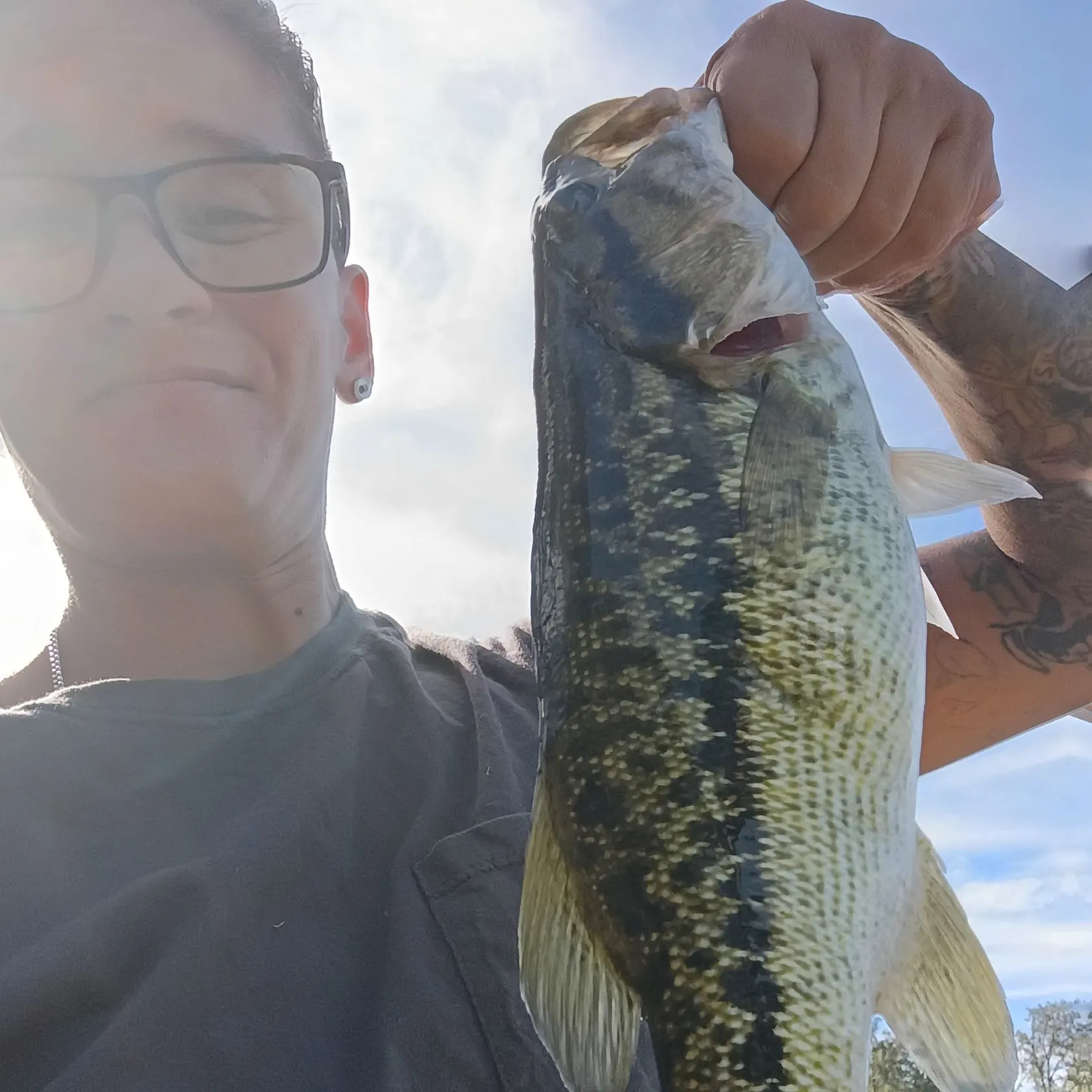 The most recent Spotted bass catches on Fishbrain